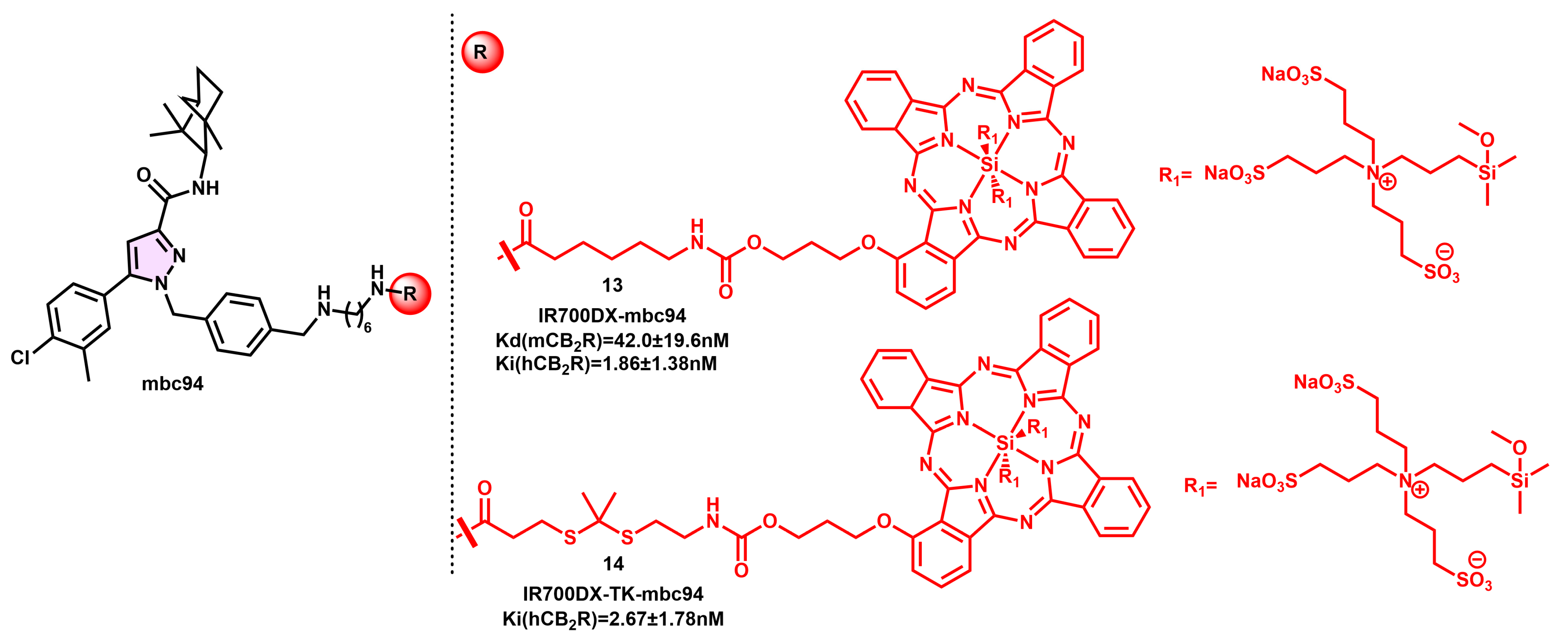 Pharmaceuticals 16 01235 g005