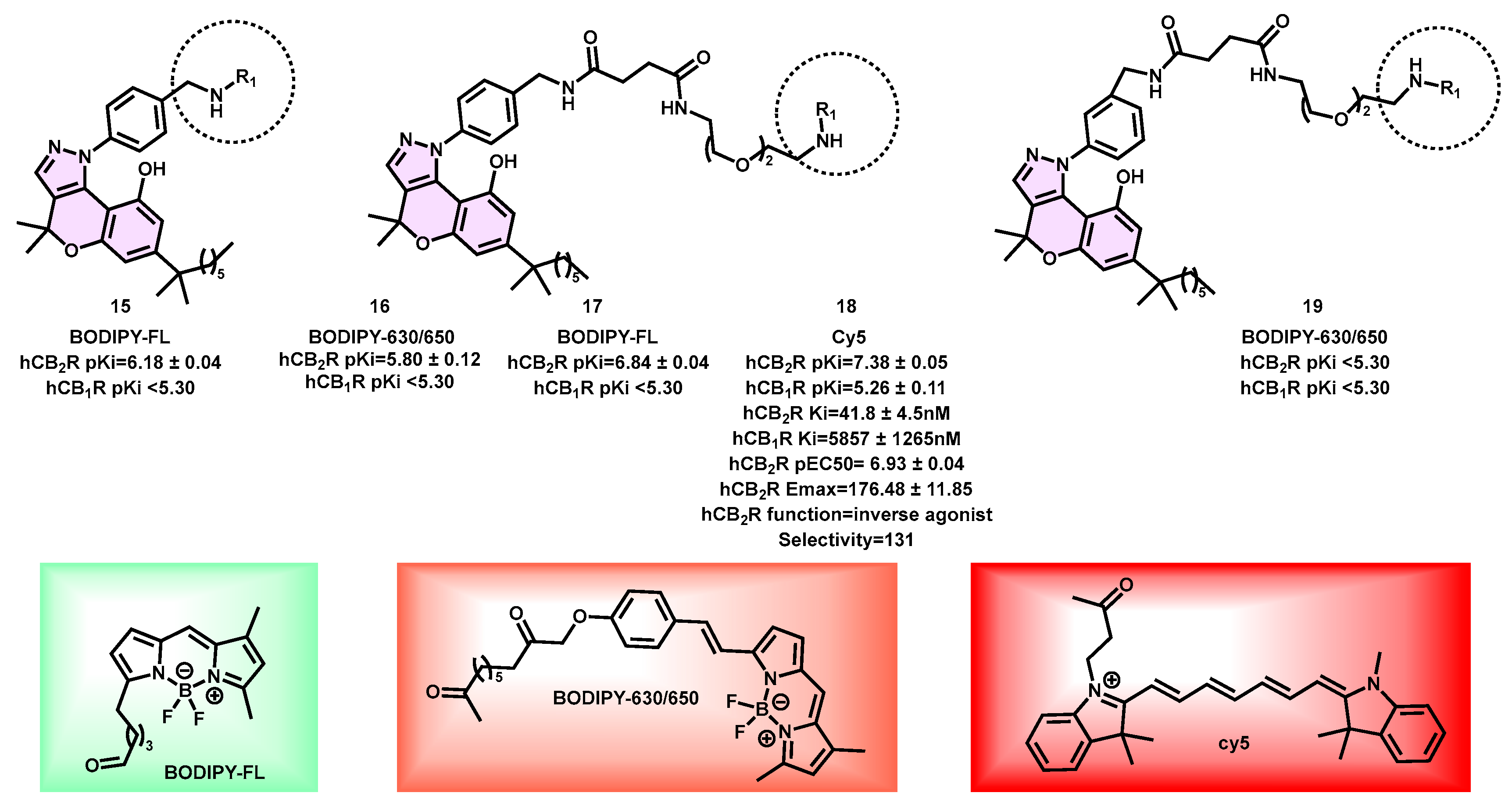 Pharmaceuticals 16 01235 g006