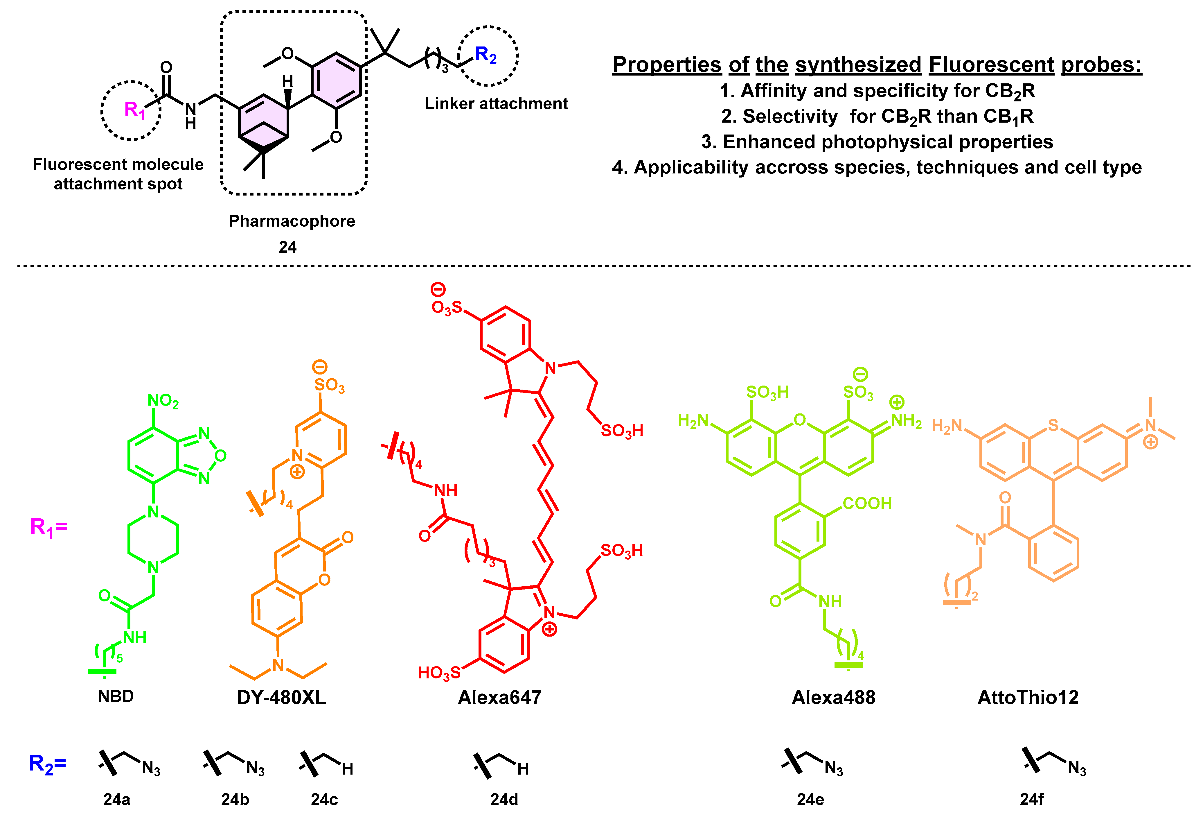 Pharmaceuticals 16 01235 g008