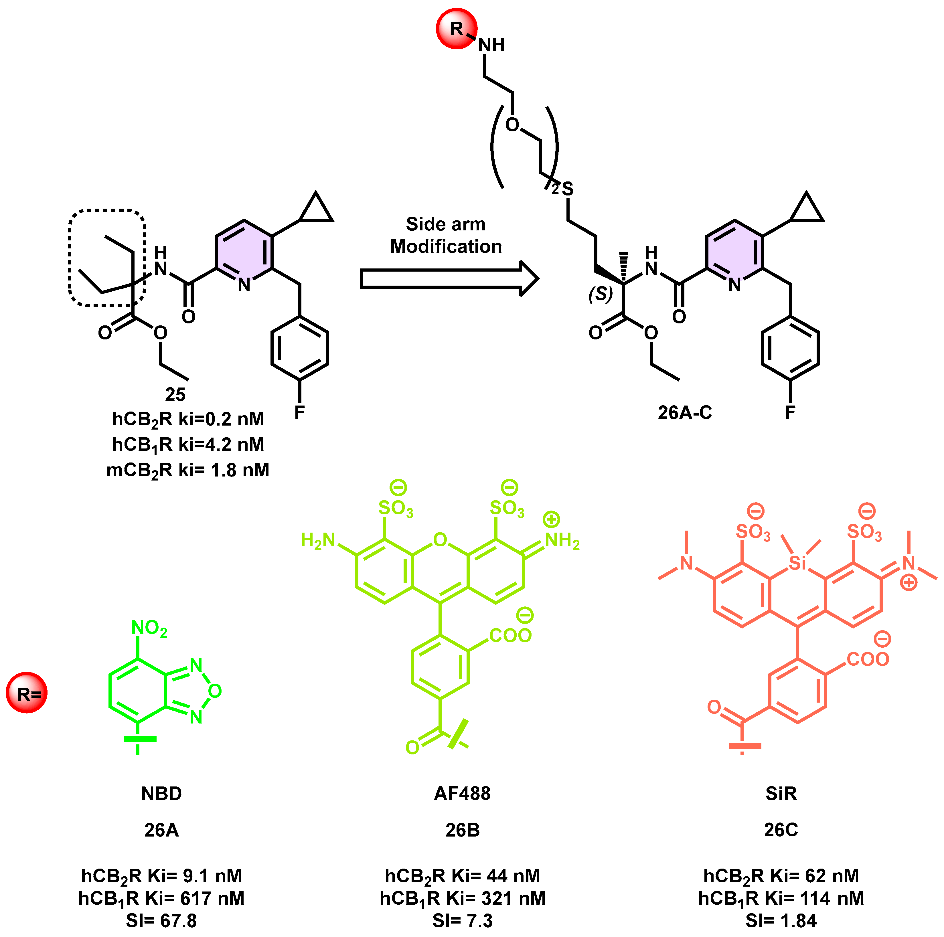 Pharmaceuticals 16 01235 g009