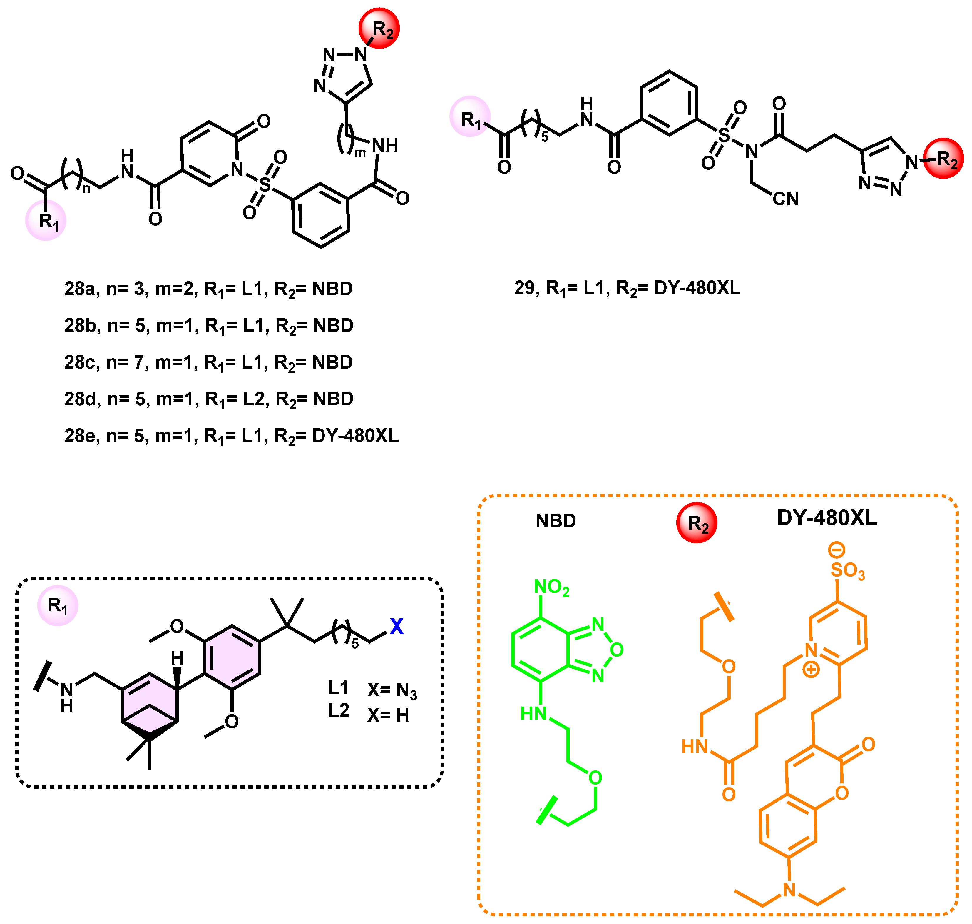 Pharmaceuticals 16 01235 g011