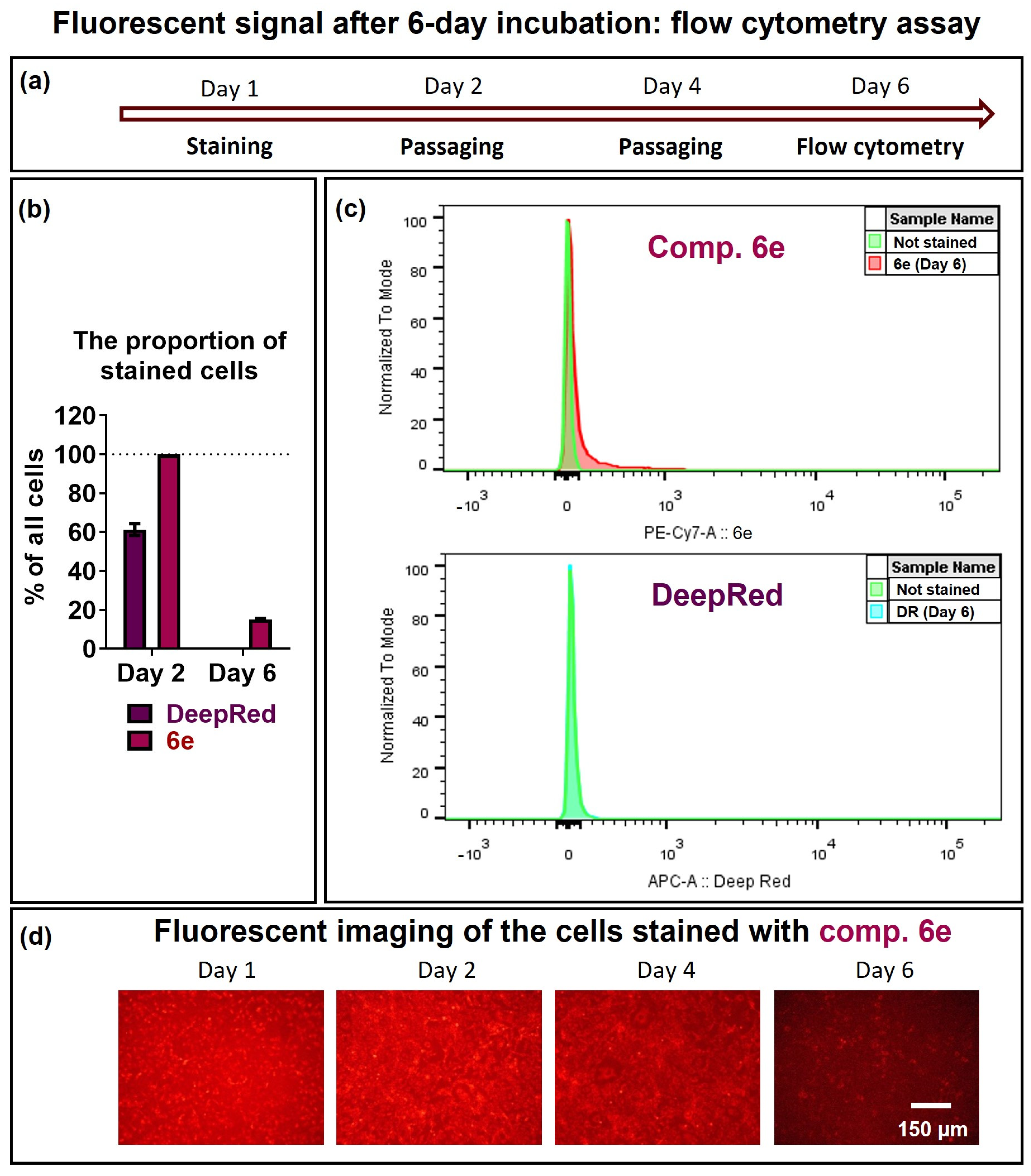 Pharmaceuticals 16 01245 g004
