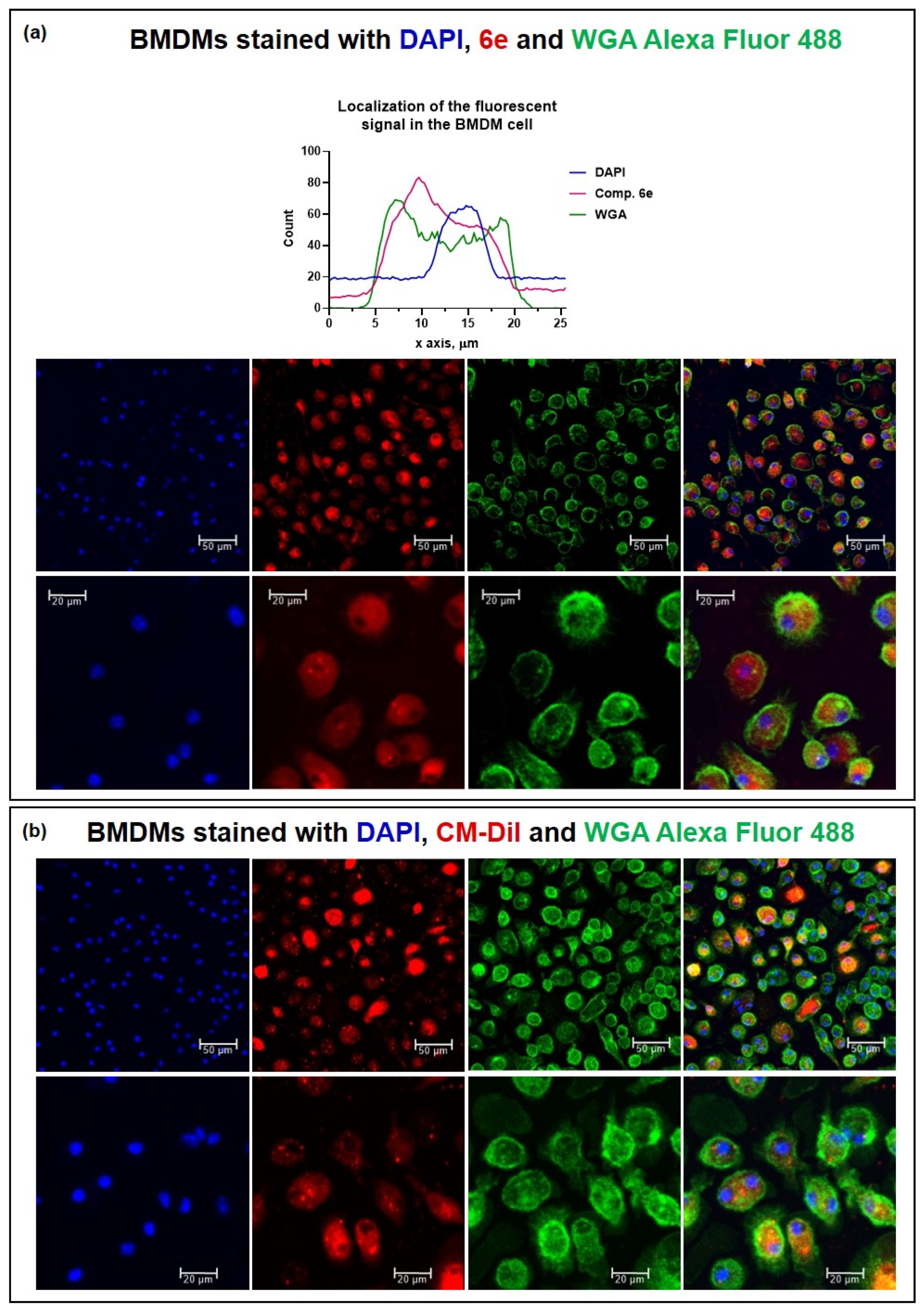 Pharmaceuticals 16 01245 g006