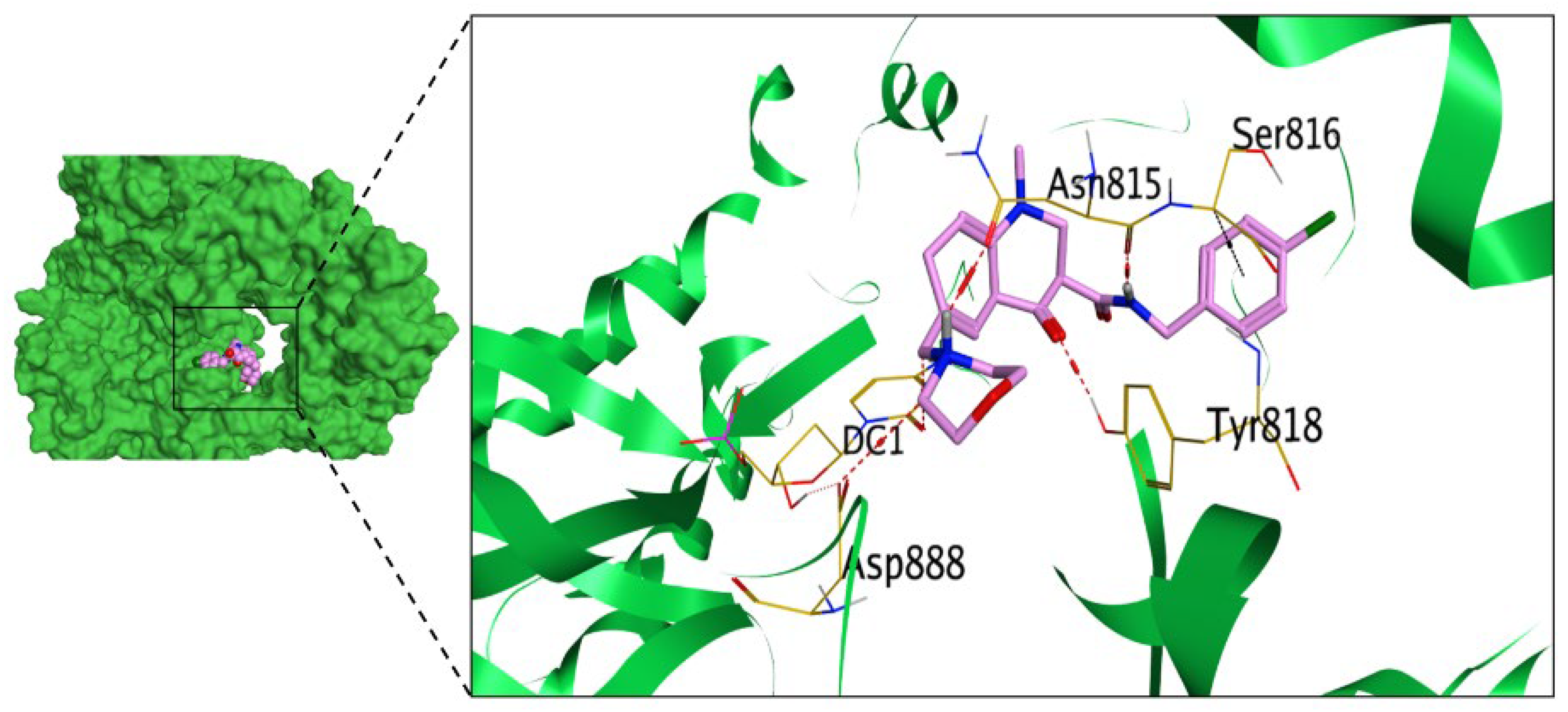 Pharmaceuticals 16 01247 g005