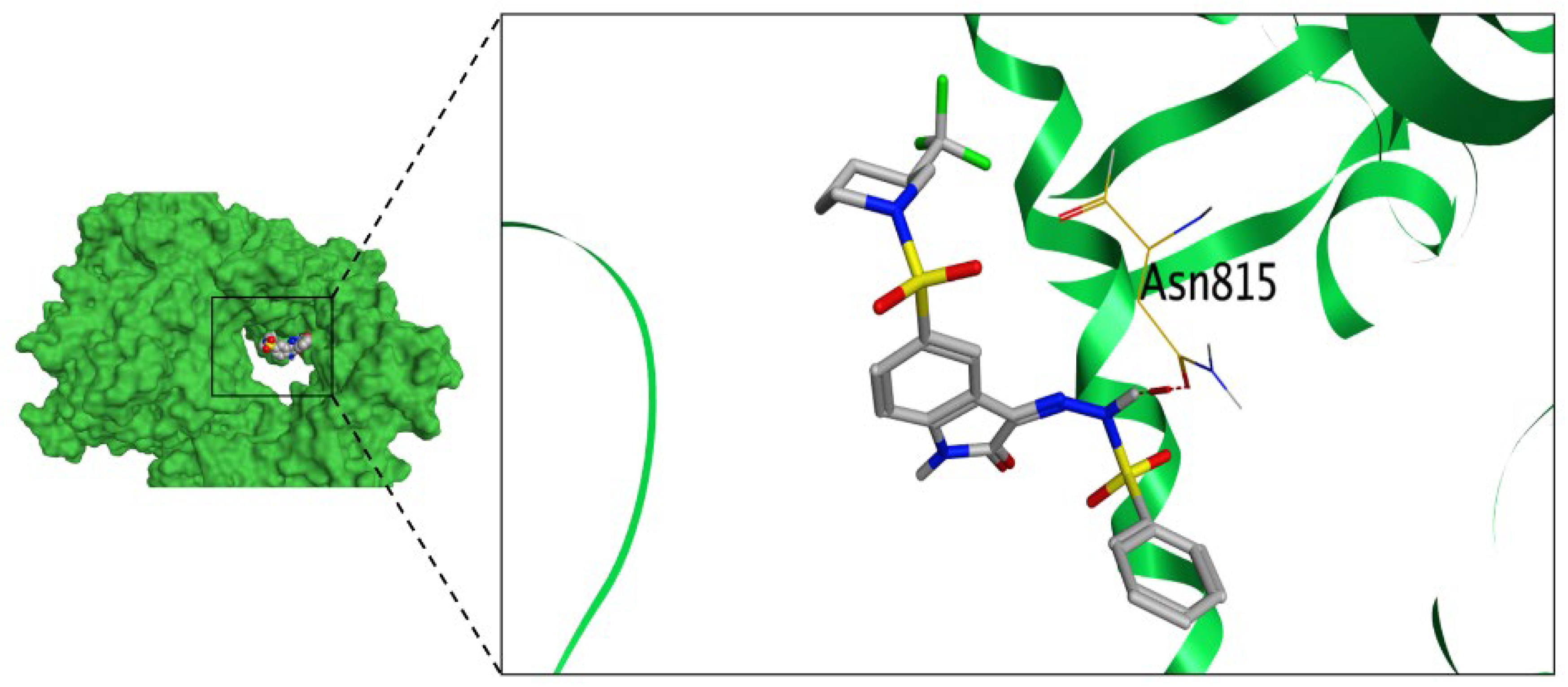 Pharmaceuticals 16 01247 g006