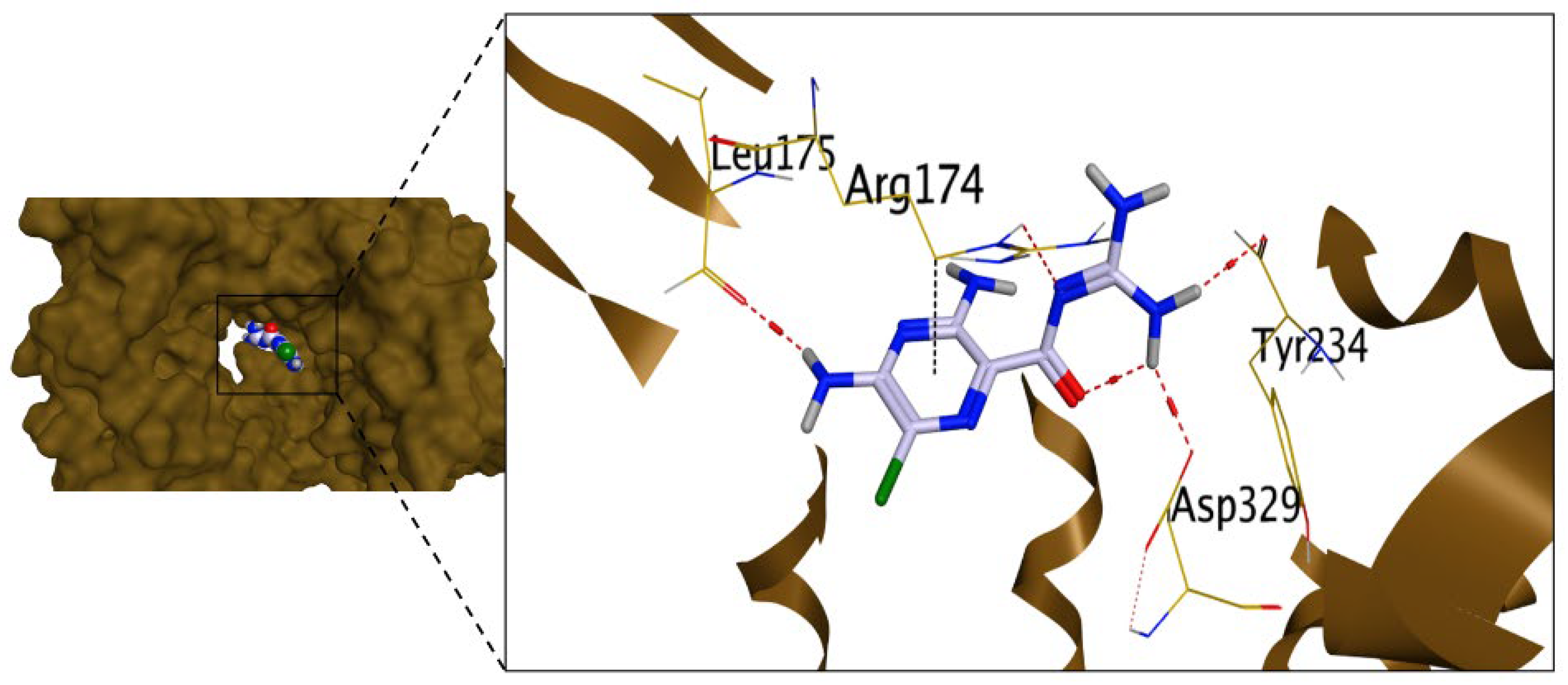Pharmaceuticals 16 01247 g007