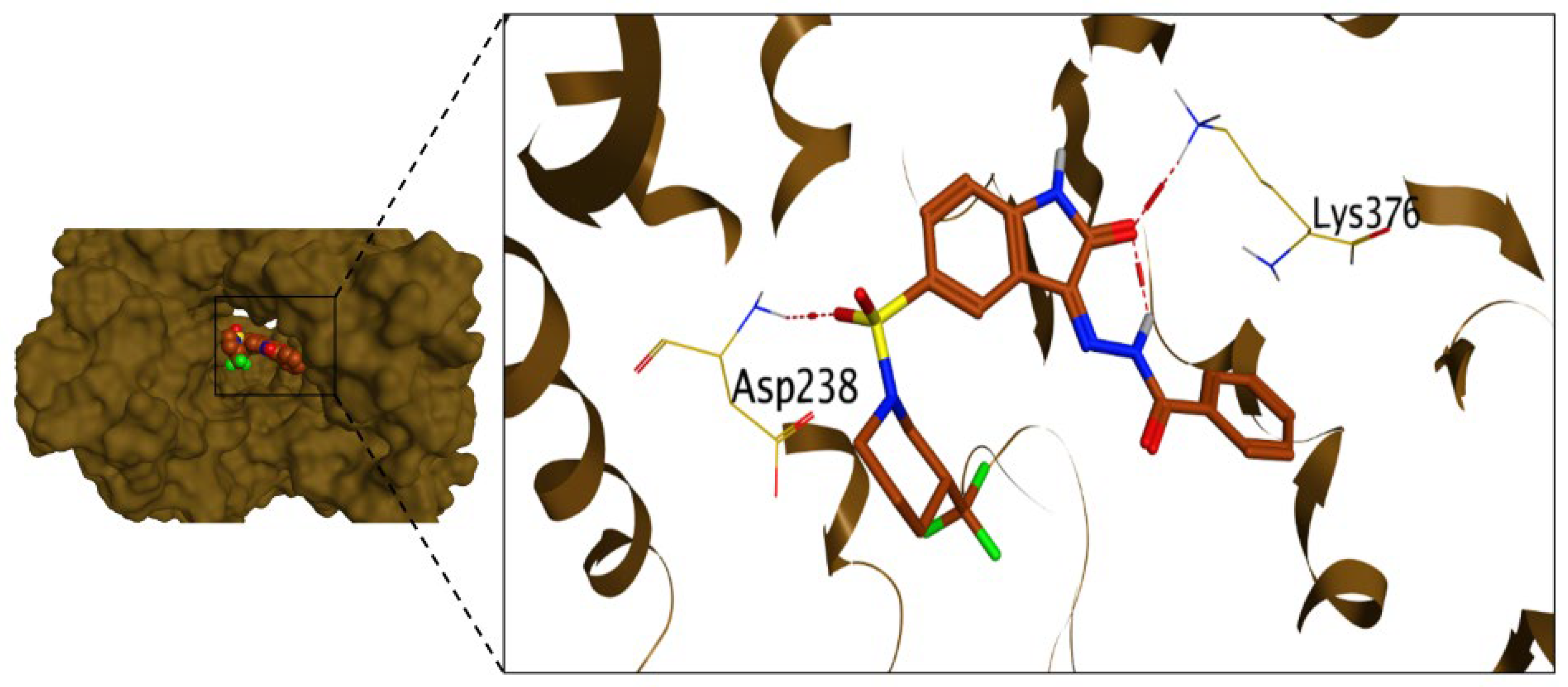 Pharmaceuticals 16 01247 g008