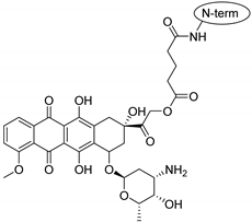 Pharmaceuticals 16 01251 i001