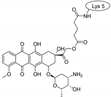 Pharmaceuticals 16 01251 i007