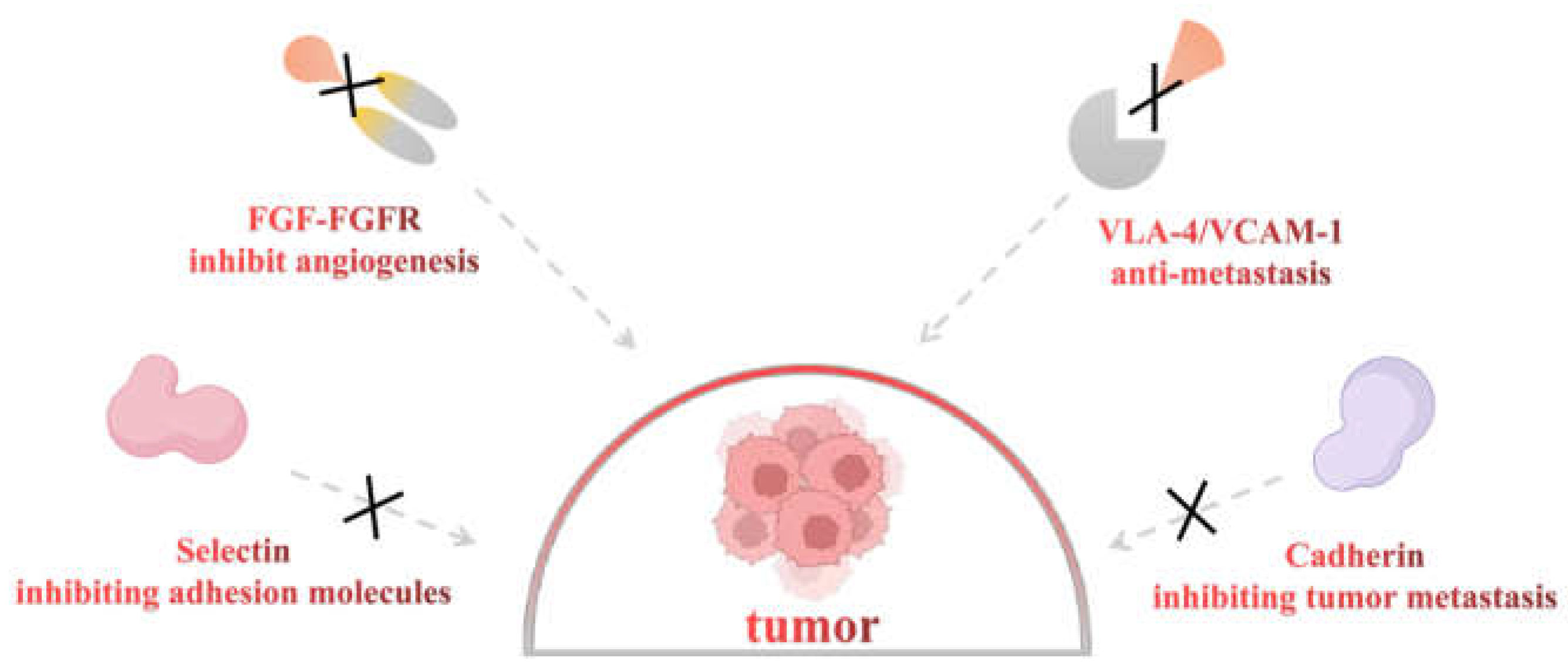 Pharmaceuticals 16 01254 g003
