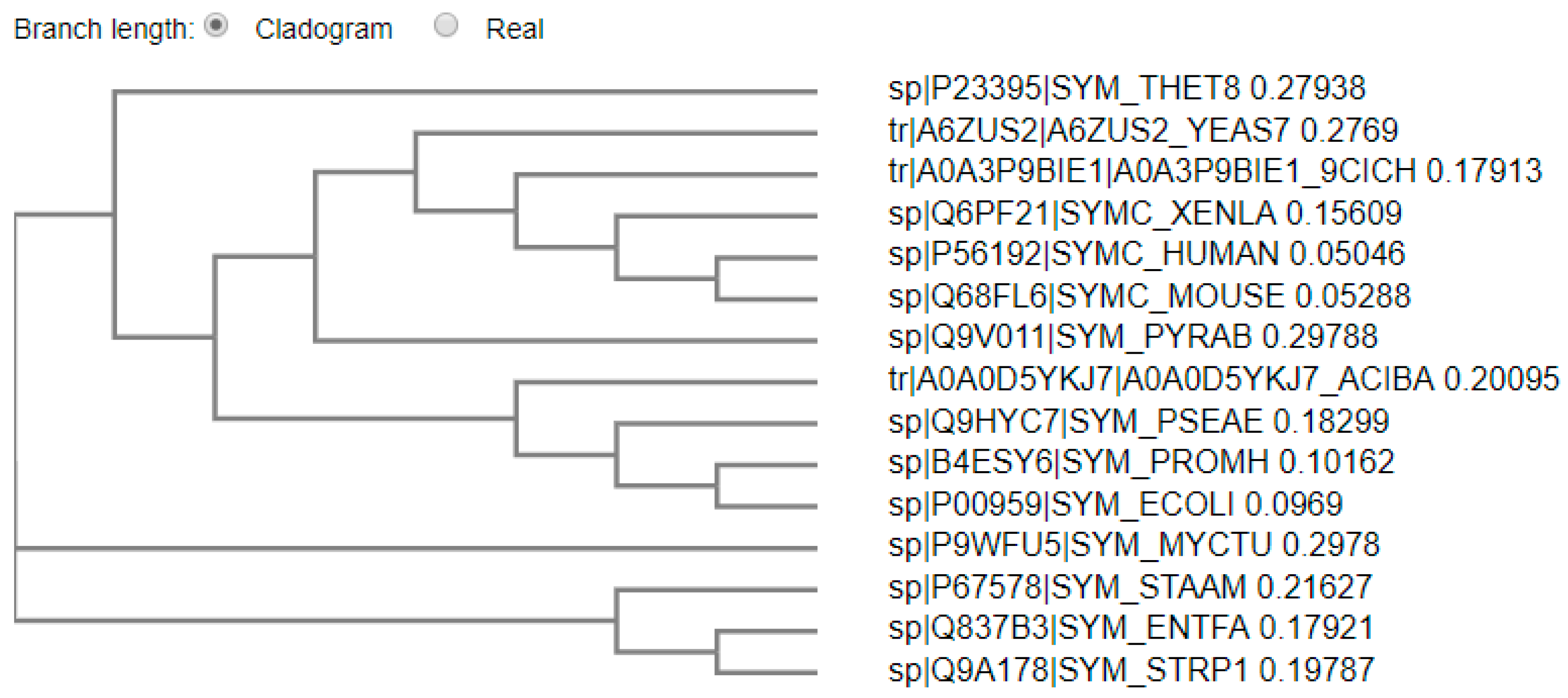 Pharmaceuticals 16 01263 g002 Pharmaceuticals 16 01263 g002