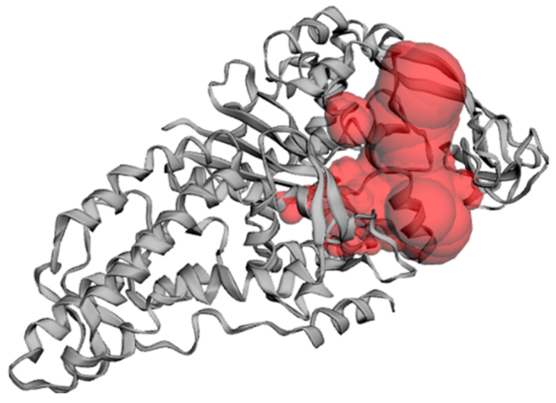 Pharmaceuticals 16 01263 g008 Pharmaceuticals 16 01263 g008