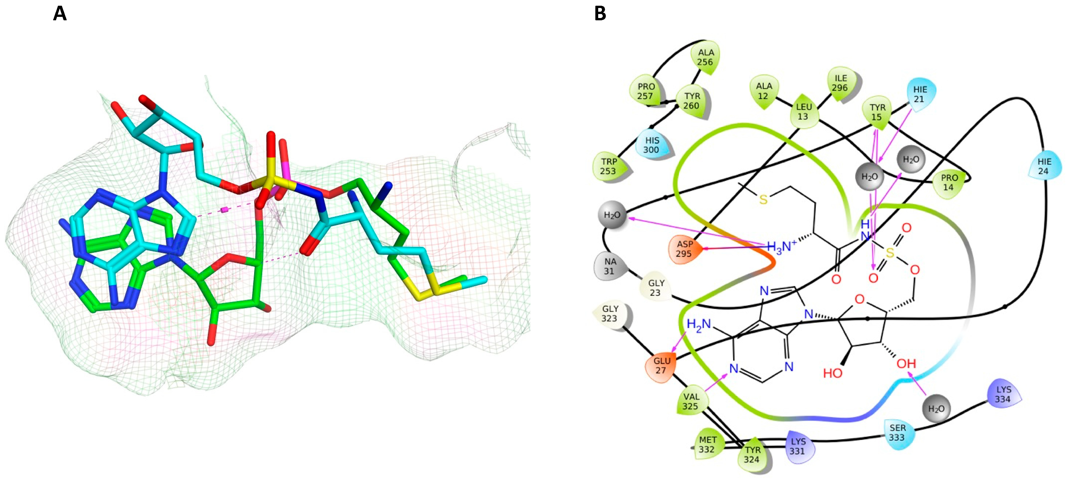Pharmaceuticals 16 01263 g010 Pharmaceuticals 16 01263 g010