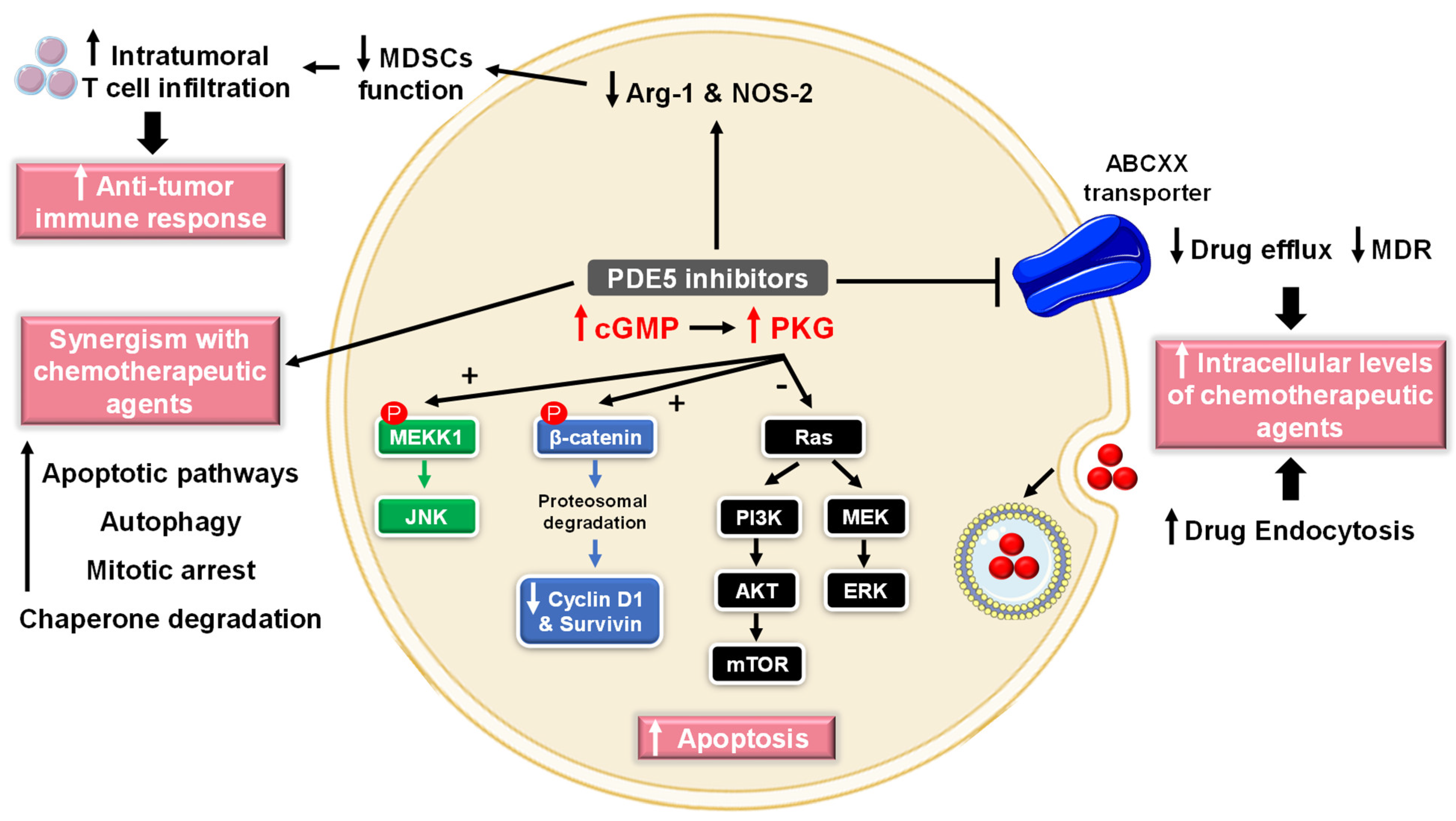 Pharmaceuticals 16 01266 g003