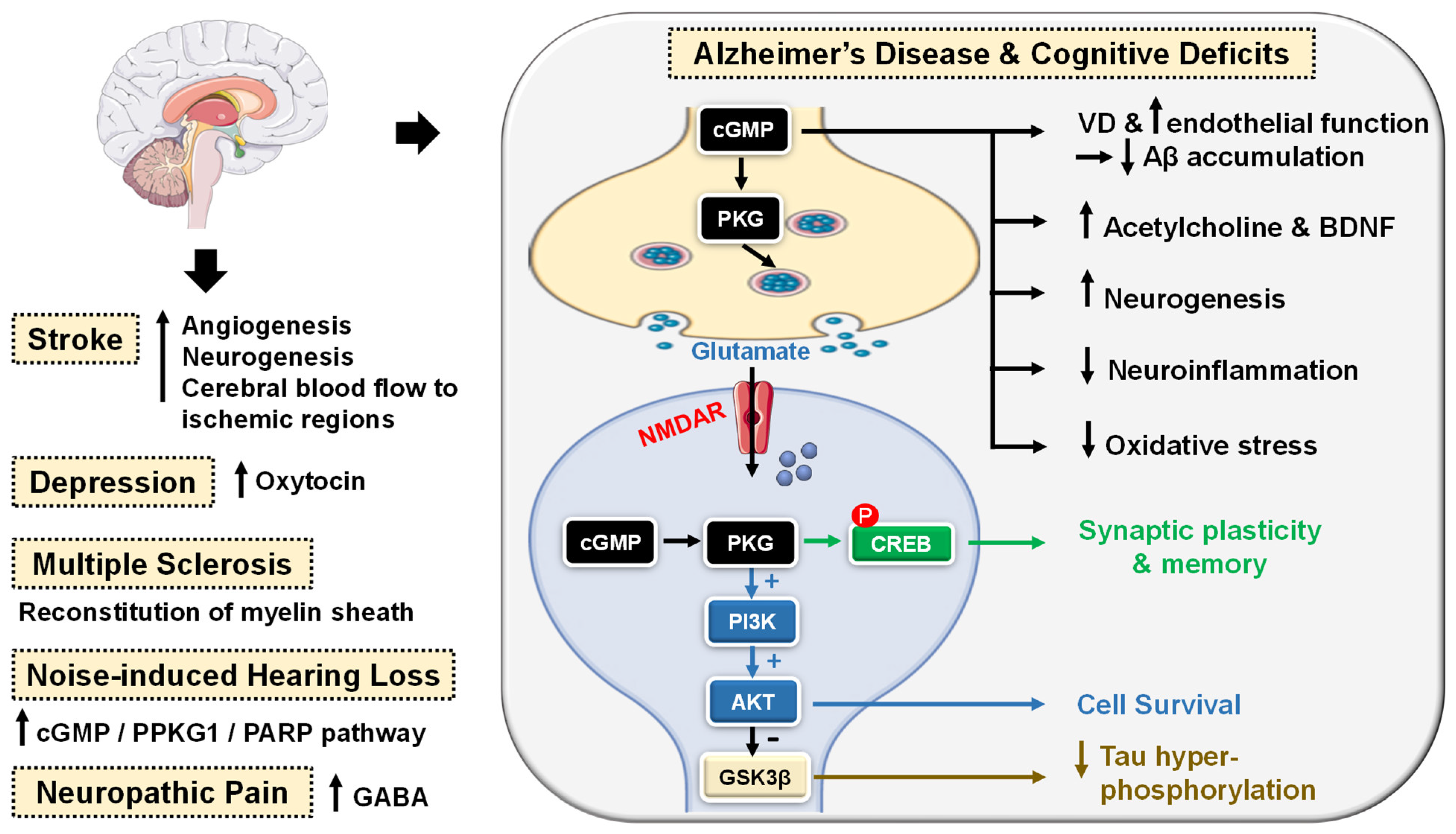 Pharmaceuticals 16 01266 g004