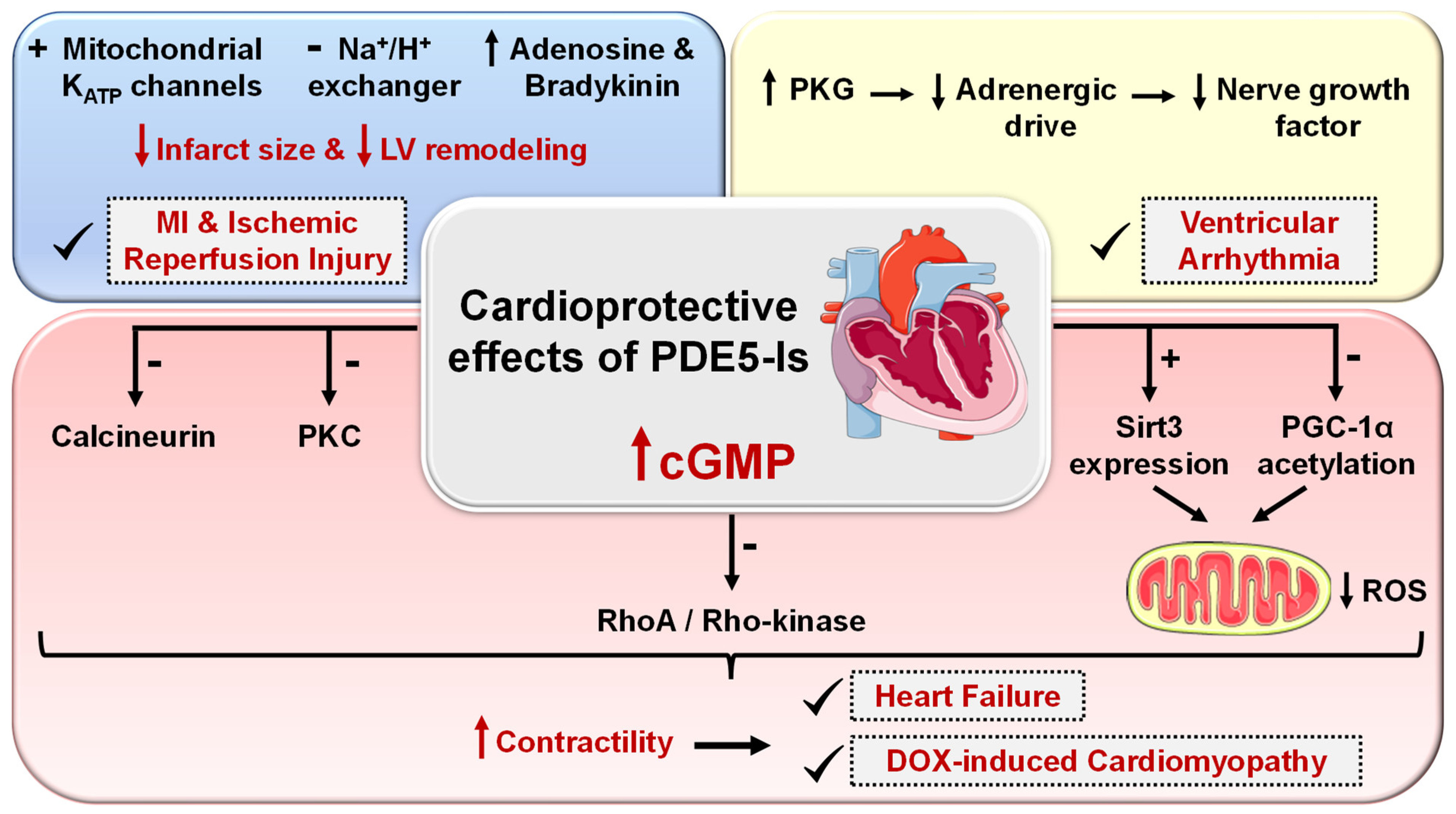 Pharmaceuticals 16 01266 g005