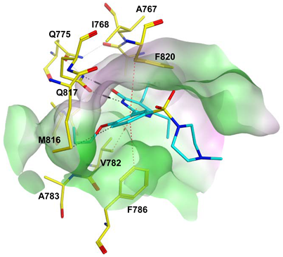 Pharmaceuticals 16 01266 i021