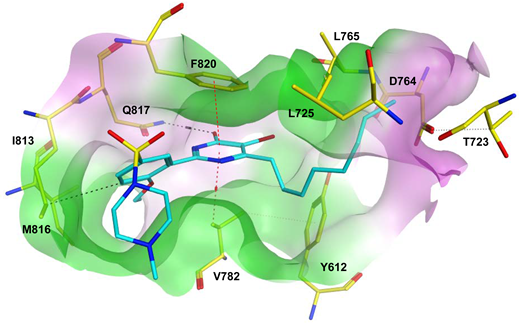 Pharmaceuticals 16 01266 i023