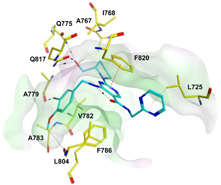 Pharmaceuticals 16 01266 i024