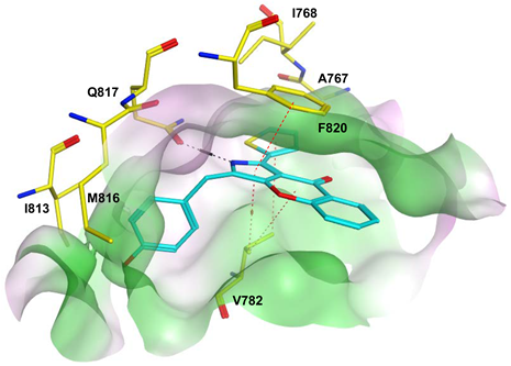 Pharmaceuticals 16 01266 i025
