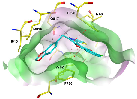 Pharmaceuticals 16 01266 i026
