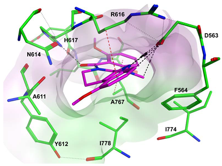 Pharmaceuticals 16 01266 i029