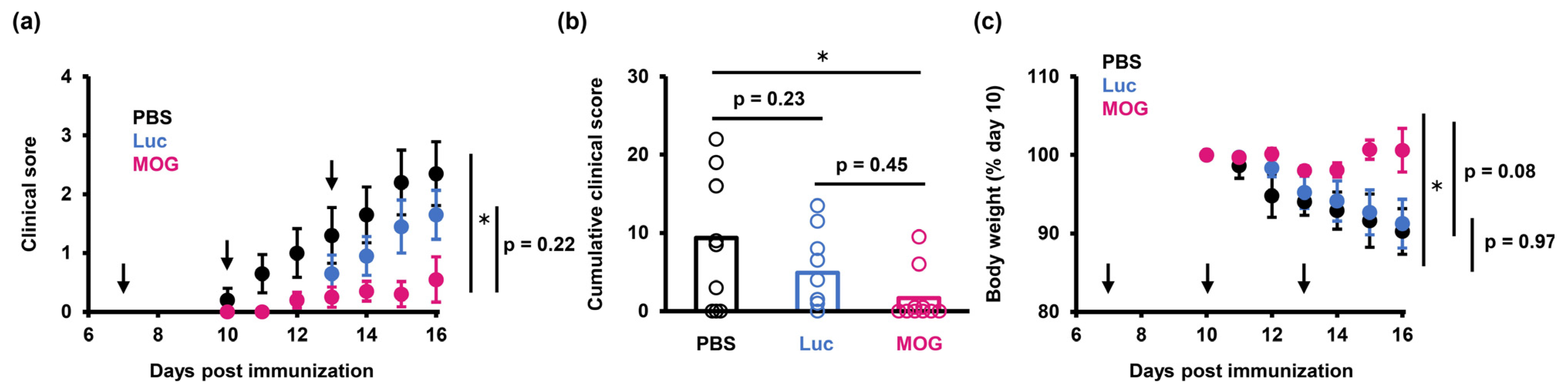 Pharmaceuticals 16 01270 g003