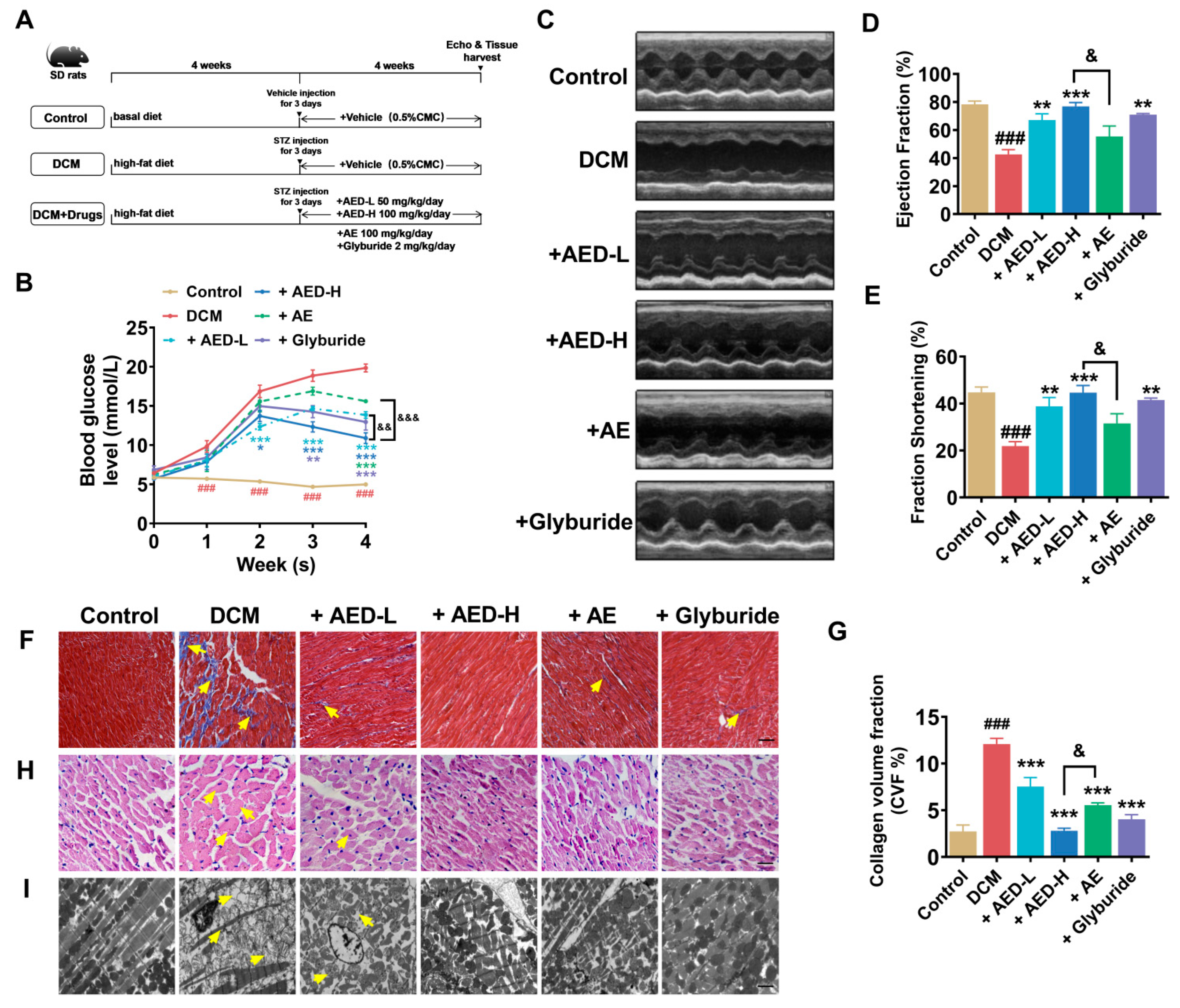 Pharmaceuticals 16 01275 g002