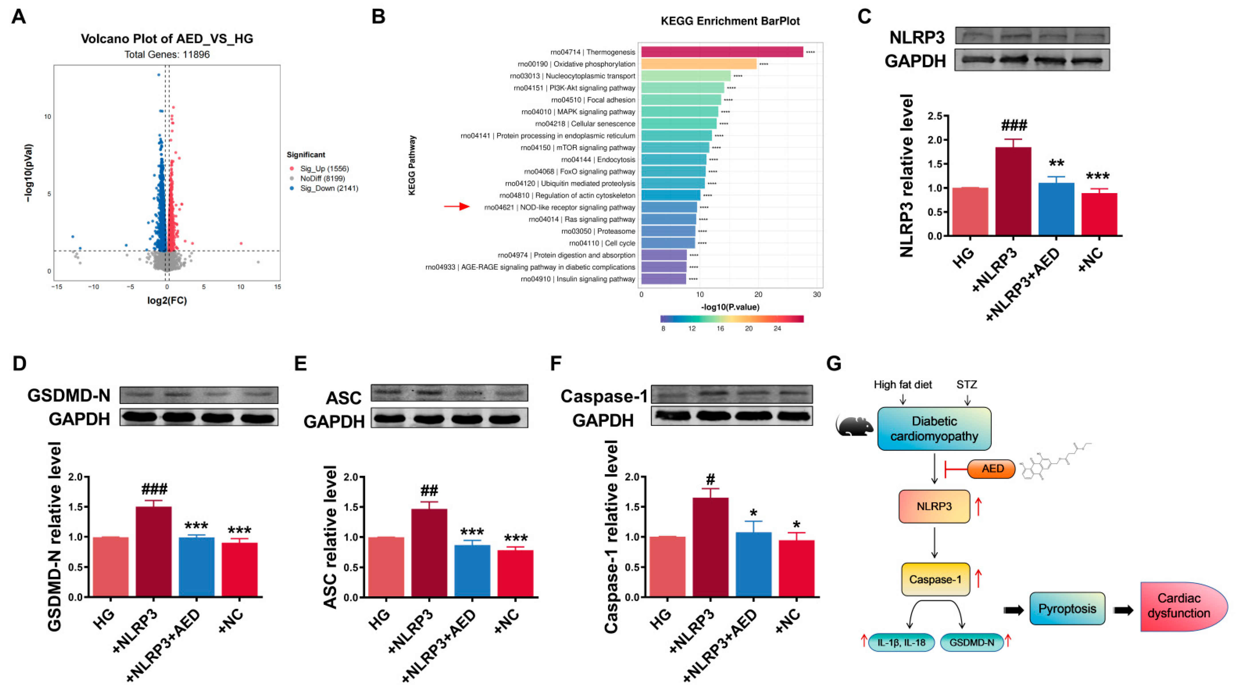 Pharmaceuticals 16 01275 g006