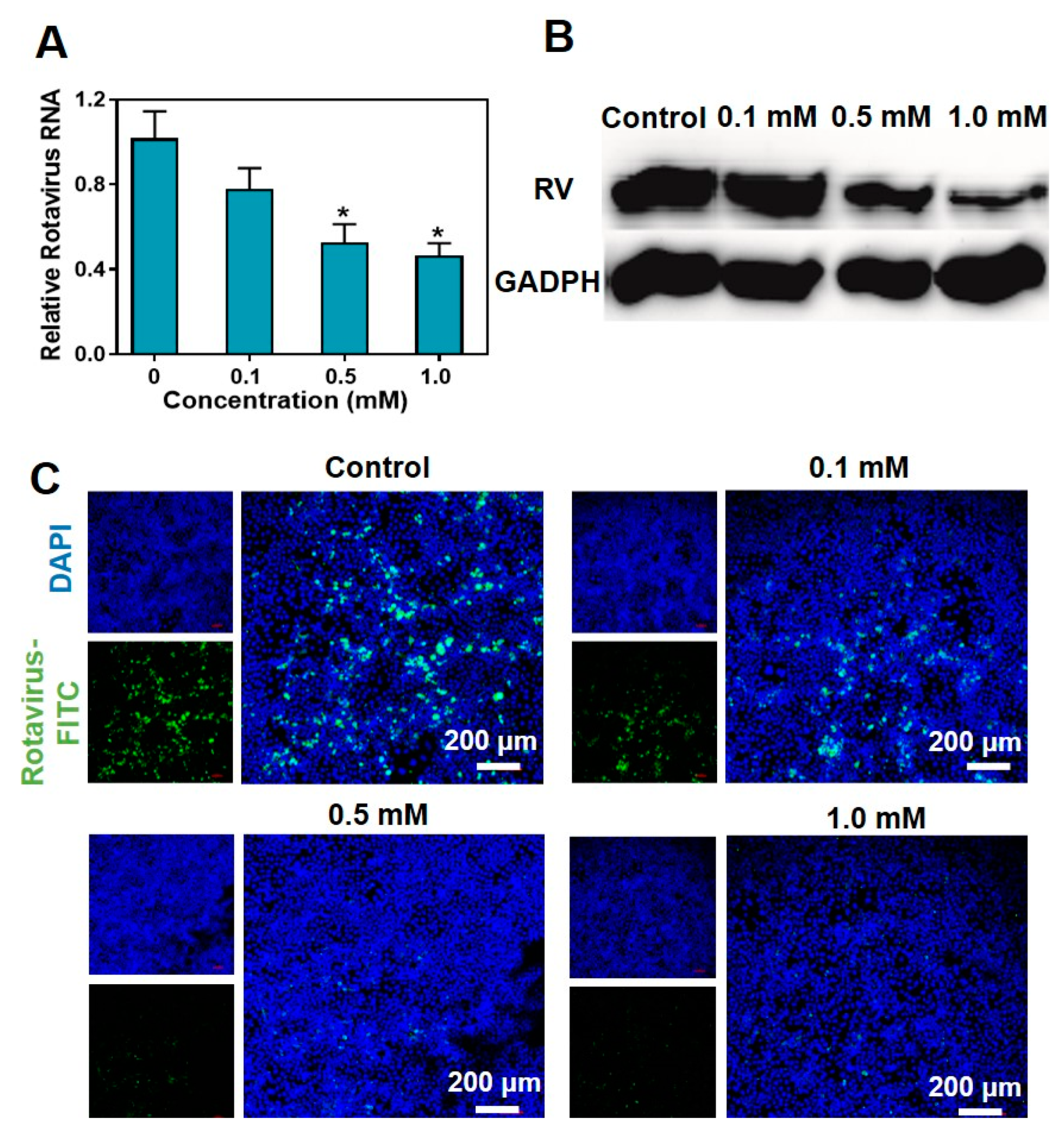 Pharmaceuticals 16 01279 g003