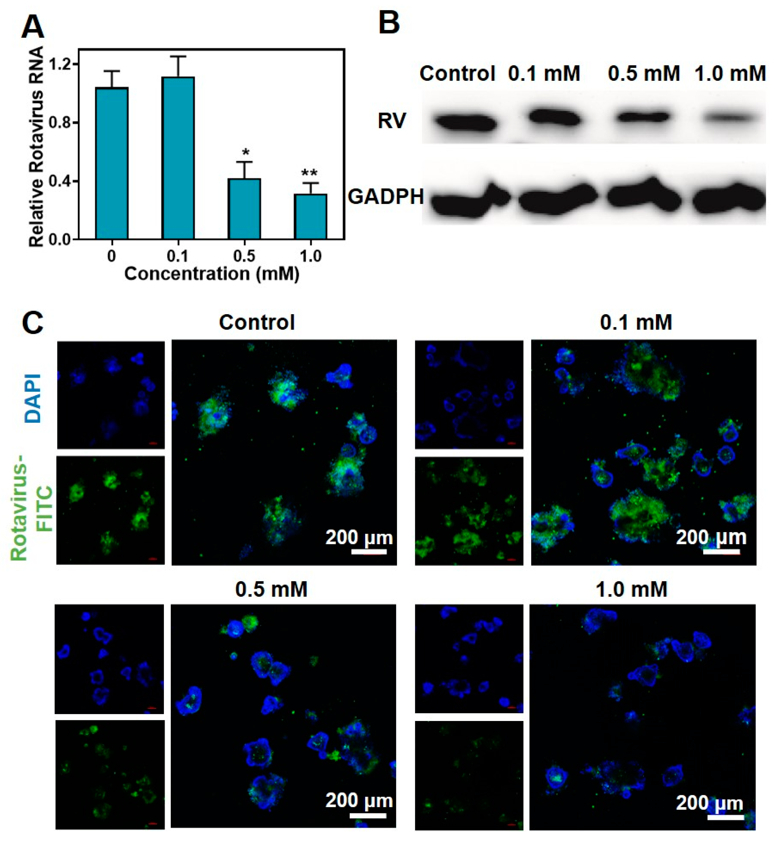 Pharmaceuticals 16 01279 g004