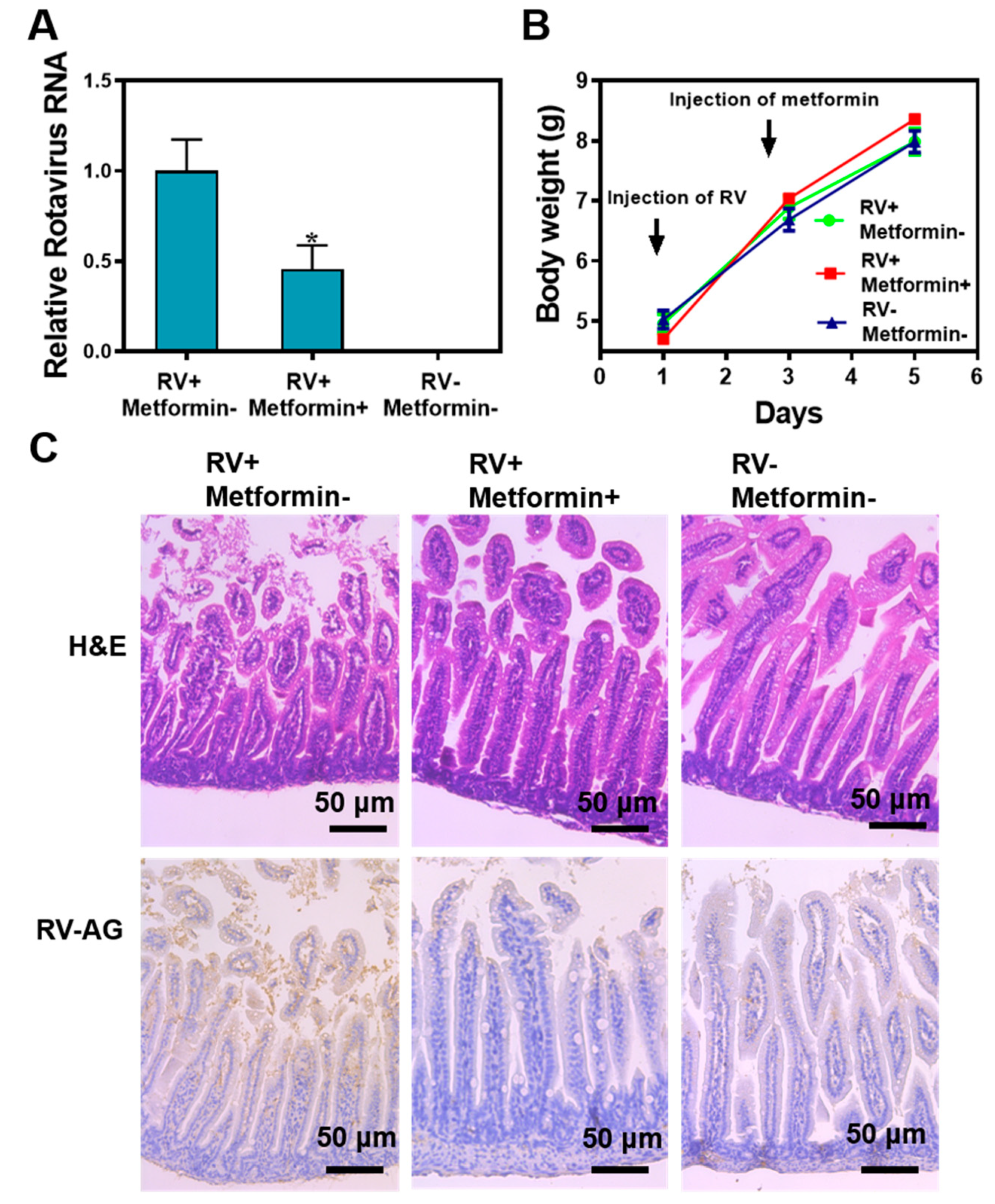 Pharmaceuticals 16 01279 g005