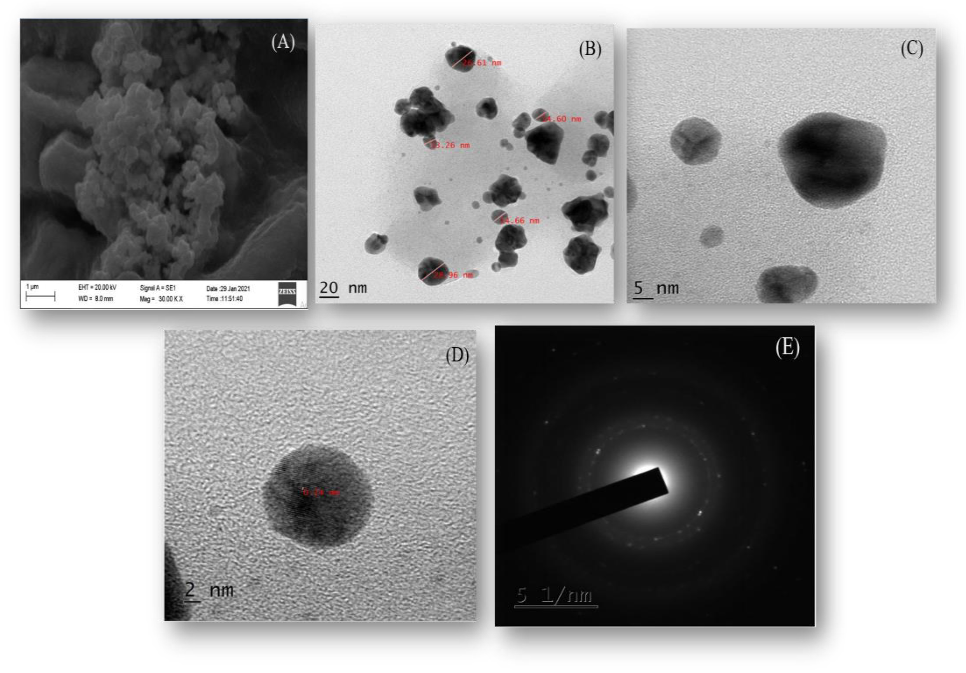 Pharmaceuticals 16 01311 g003