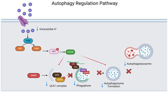 Pharmaceuticals 16 01332 g0a1