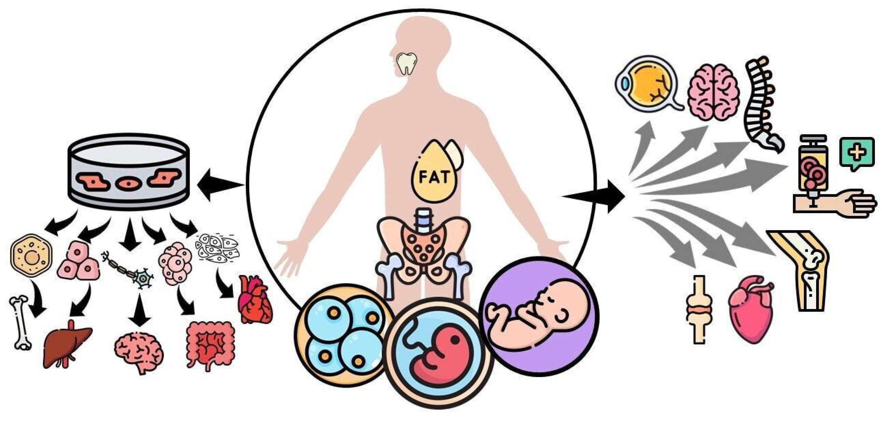 Pharmaceuticals 16 01334 g001