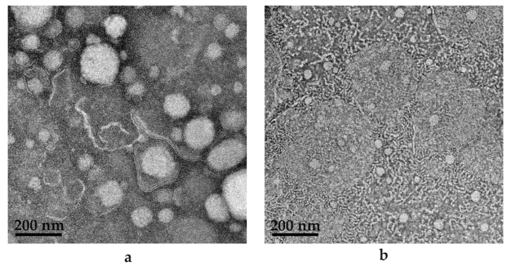 Pharmaceuticals 16 01348 g015
