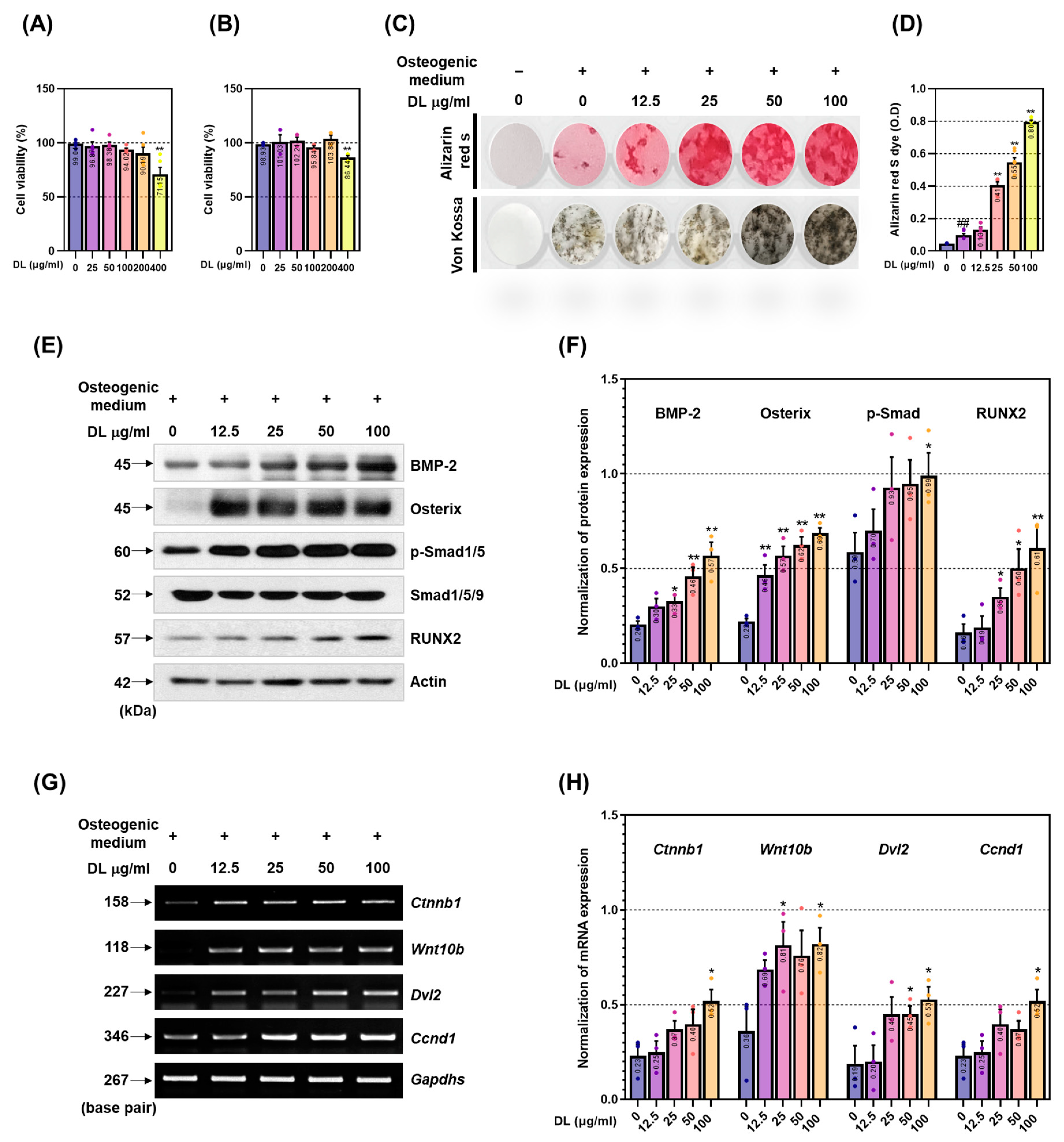 Pharmaceuticals 16 01350 g001