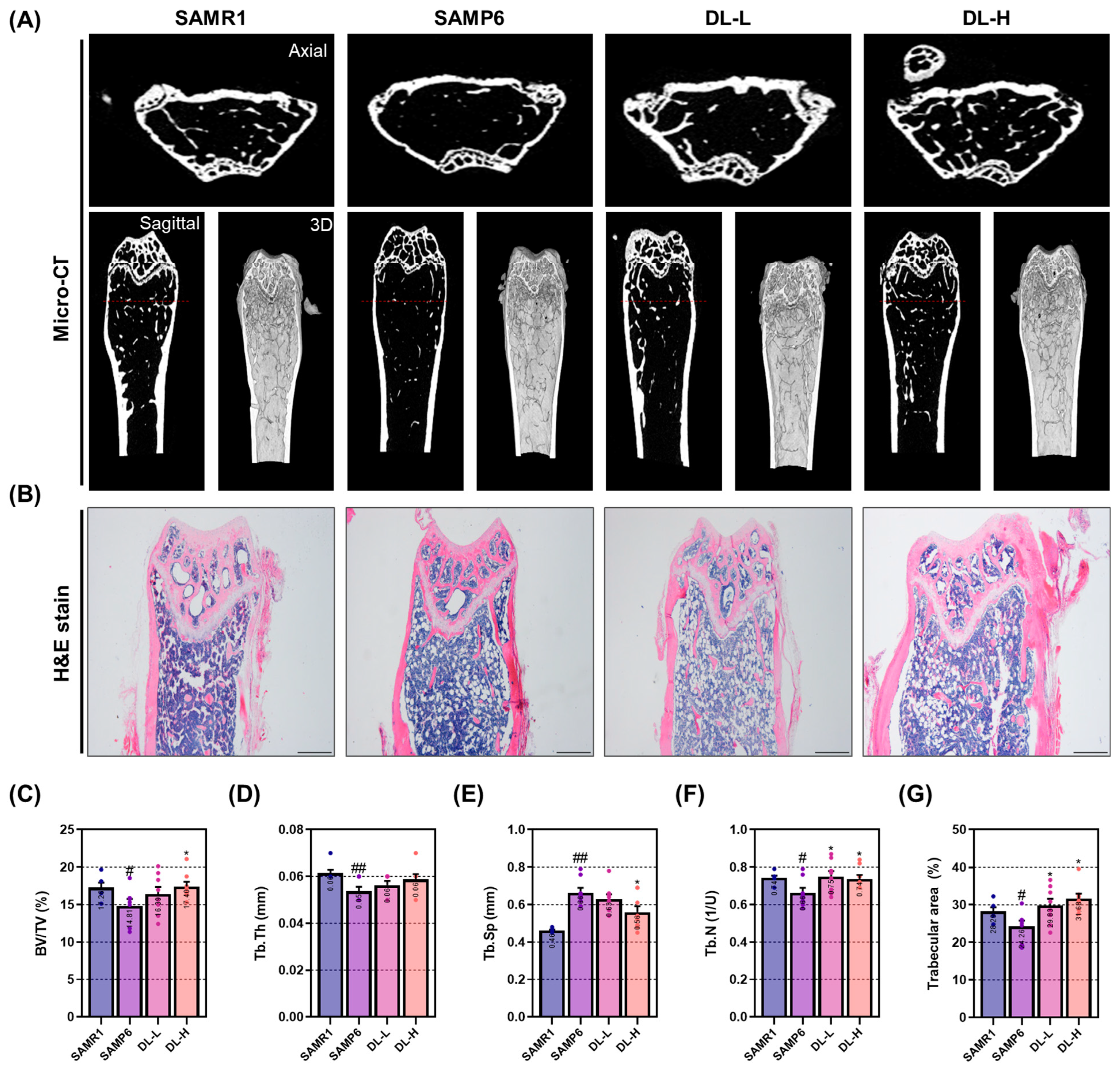 Pharmaceuticals 16 01350 g004