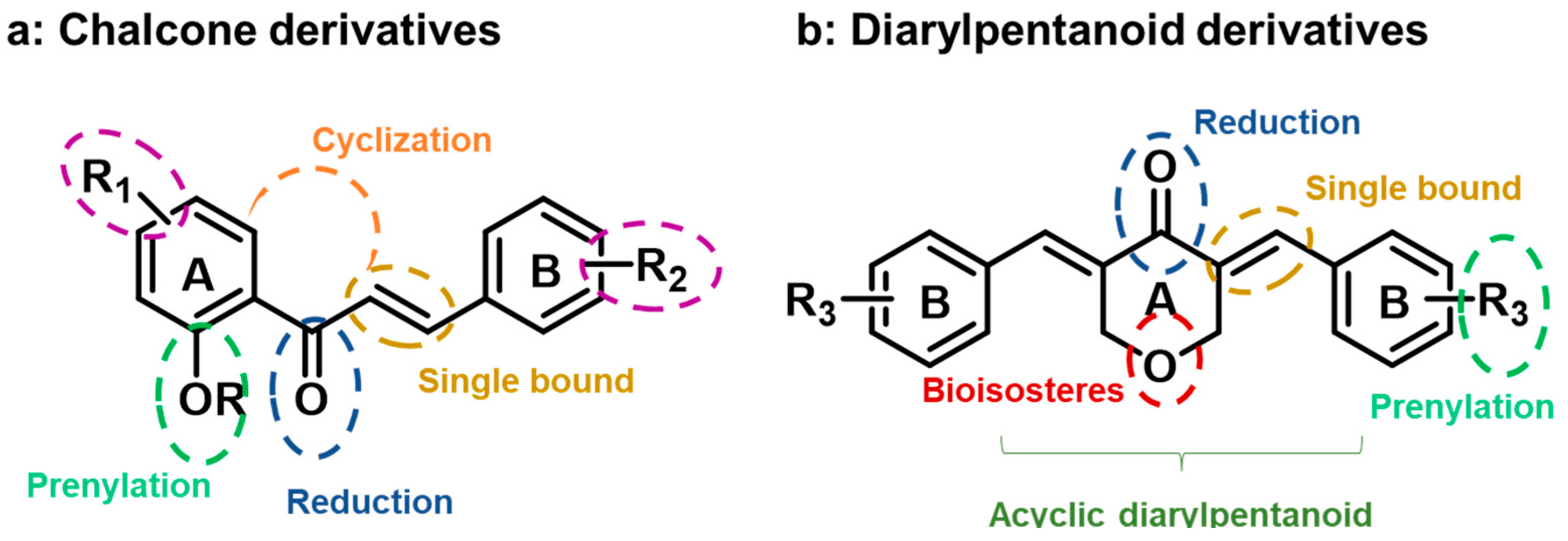 Pharmaceuticals 16 01354 g001