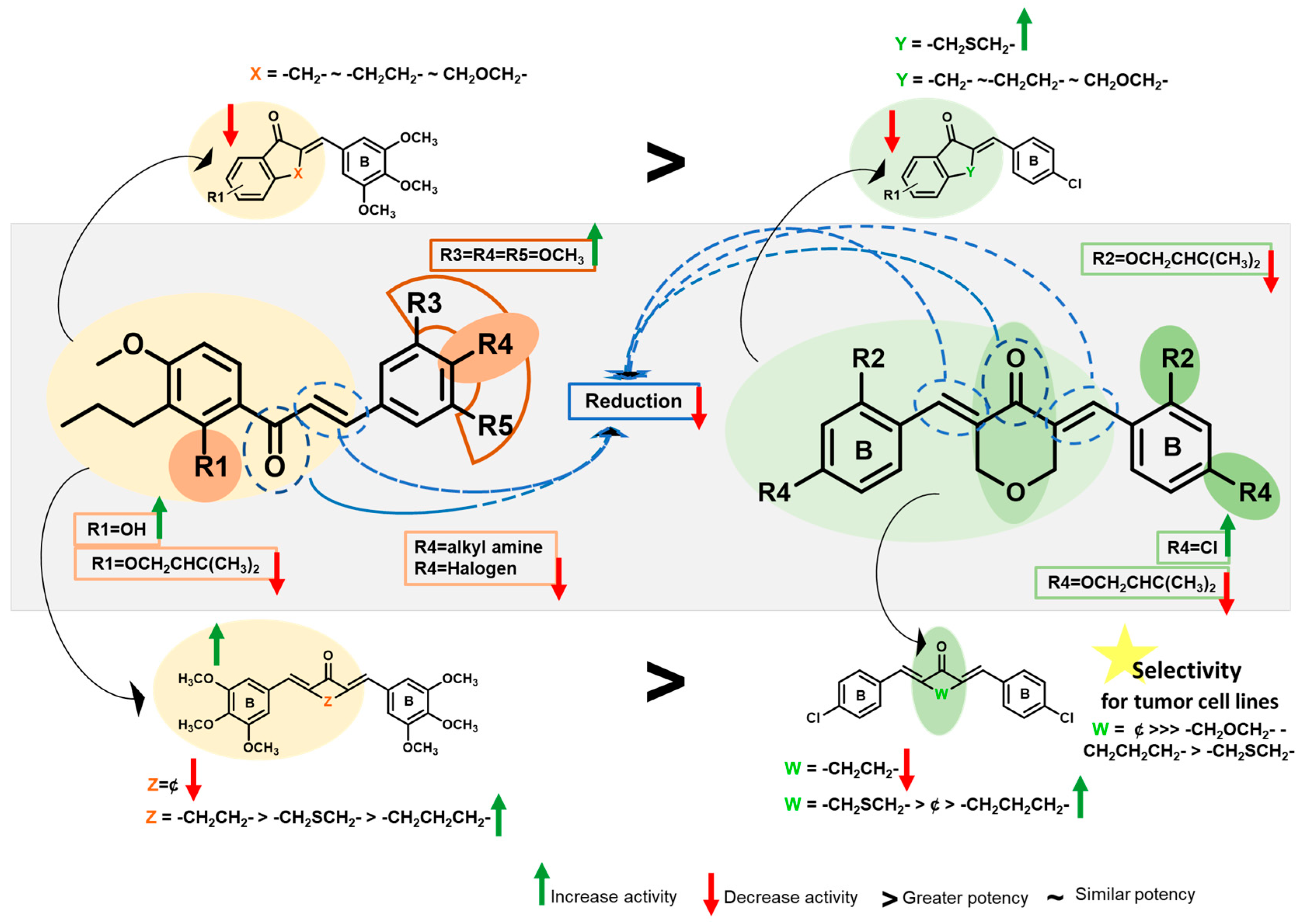 Pharmaceuticals 16 01354 g003