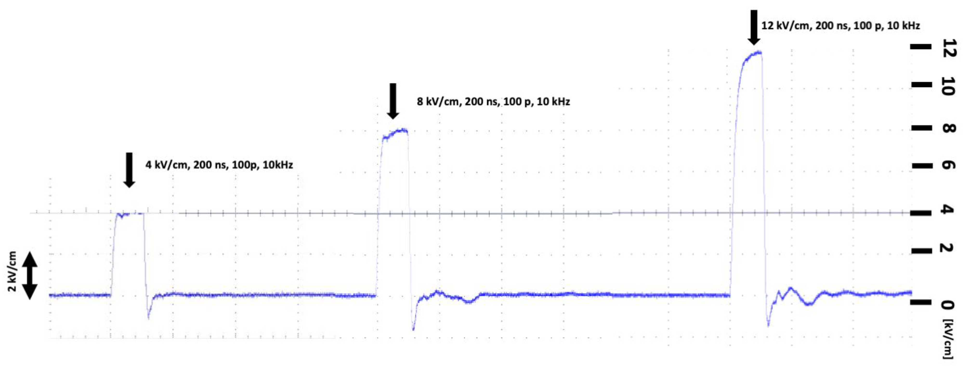 Pharmaceuticals 16 01362 g003