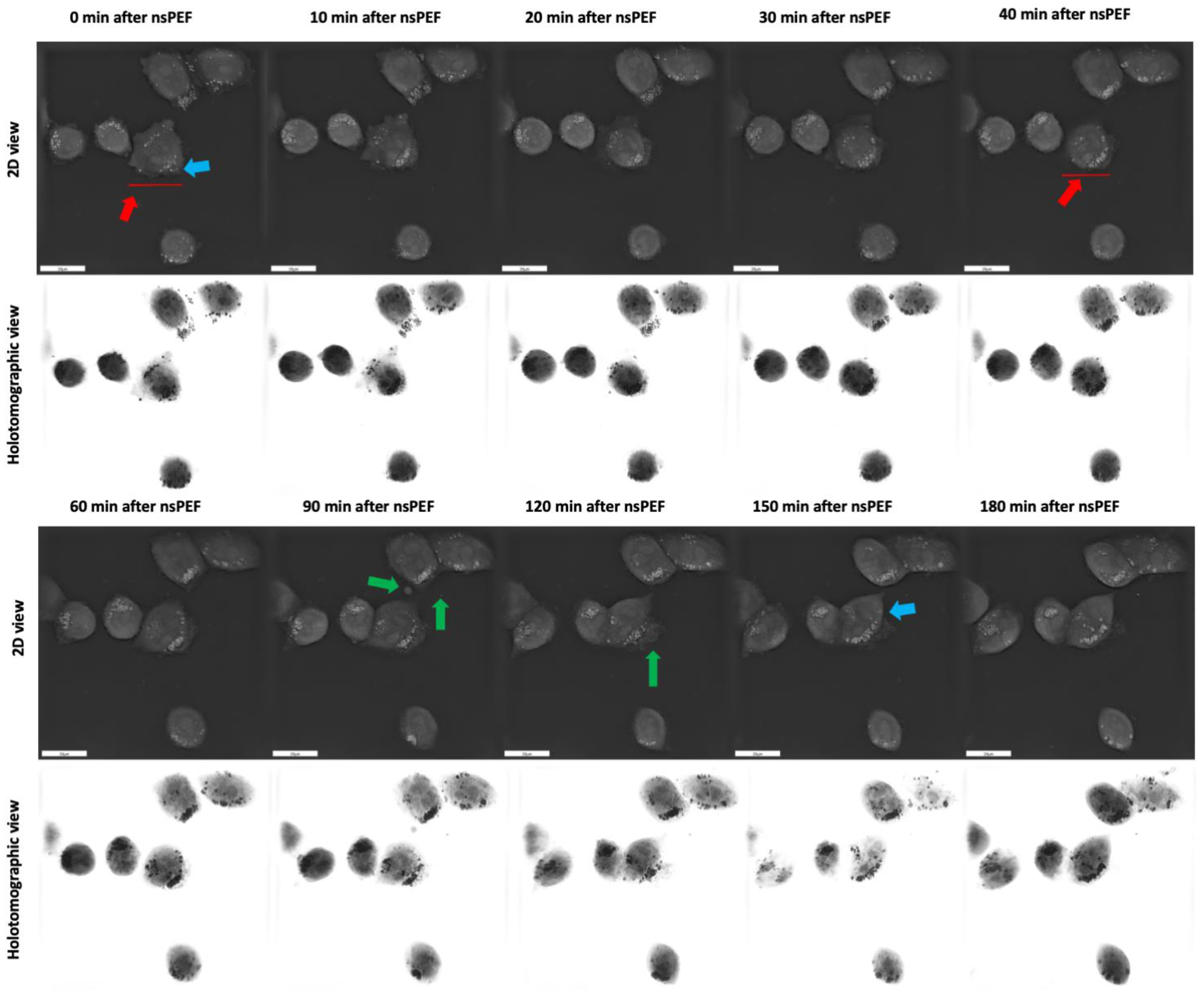 Pharmaceuticals 16 01362 g007