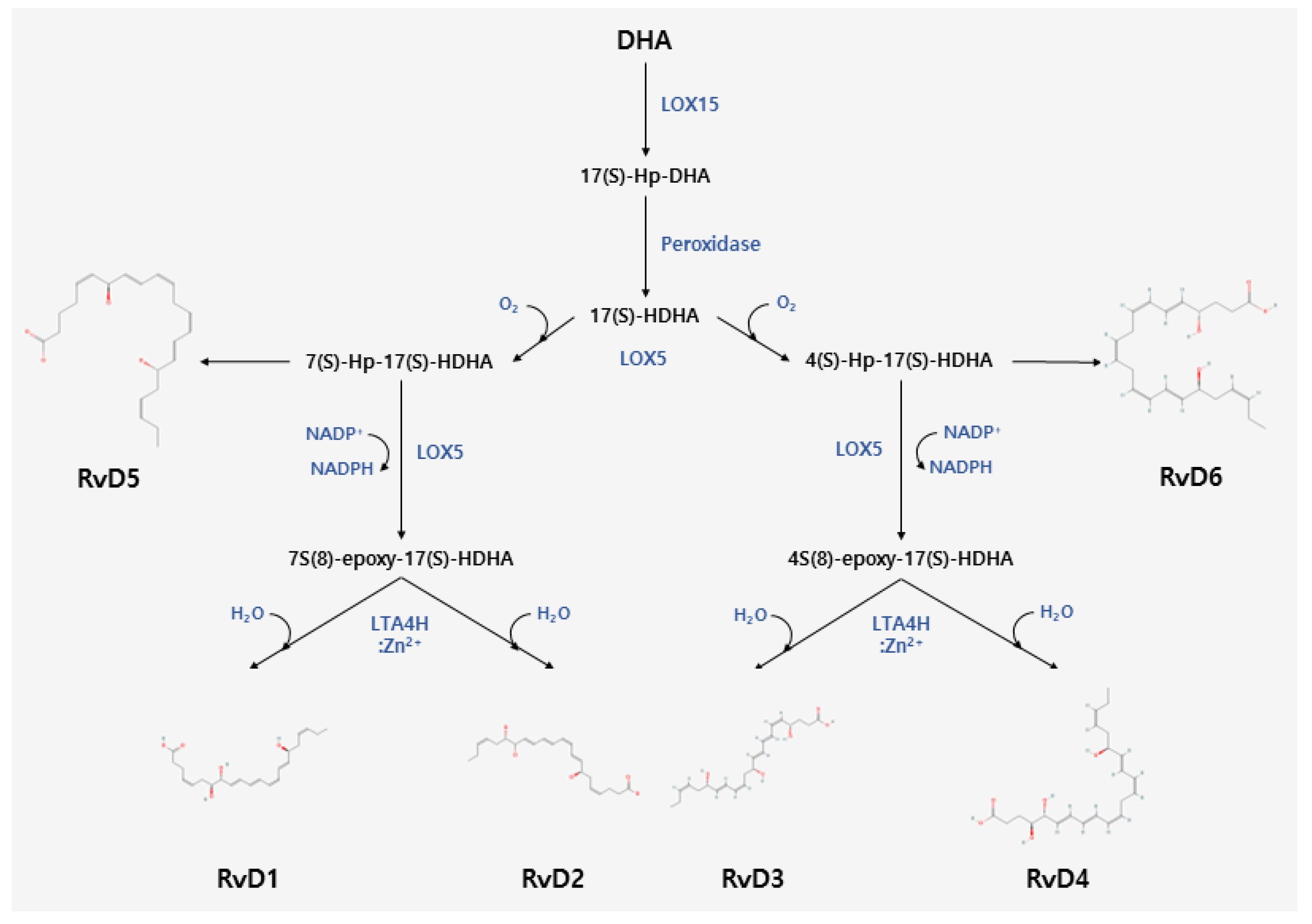 Pharmaceuticals 16 01366 g001