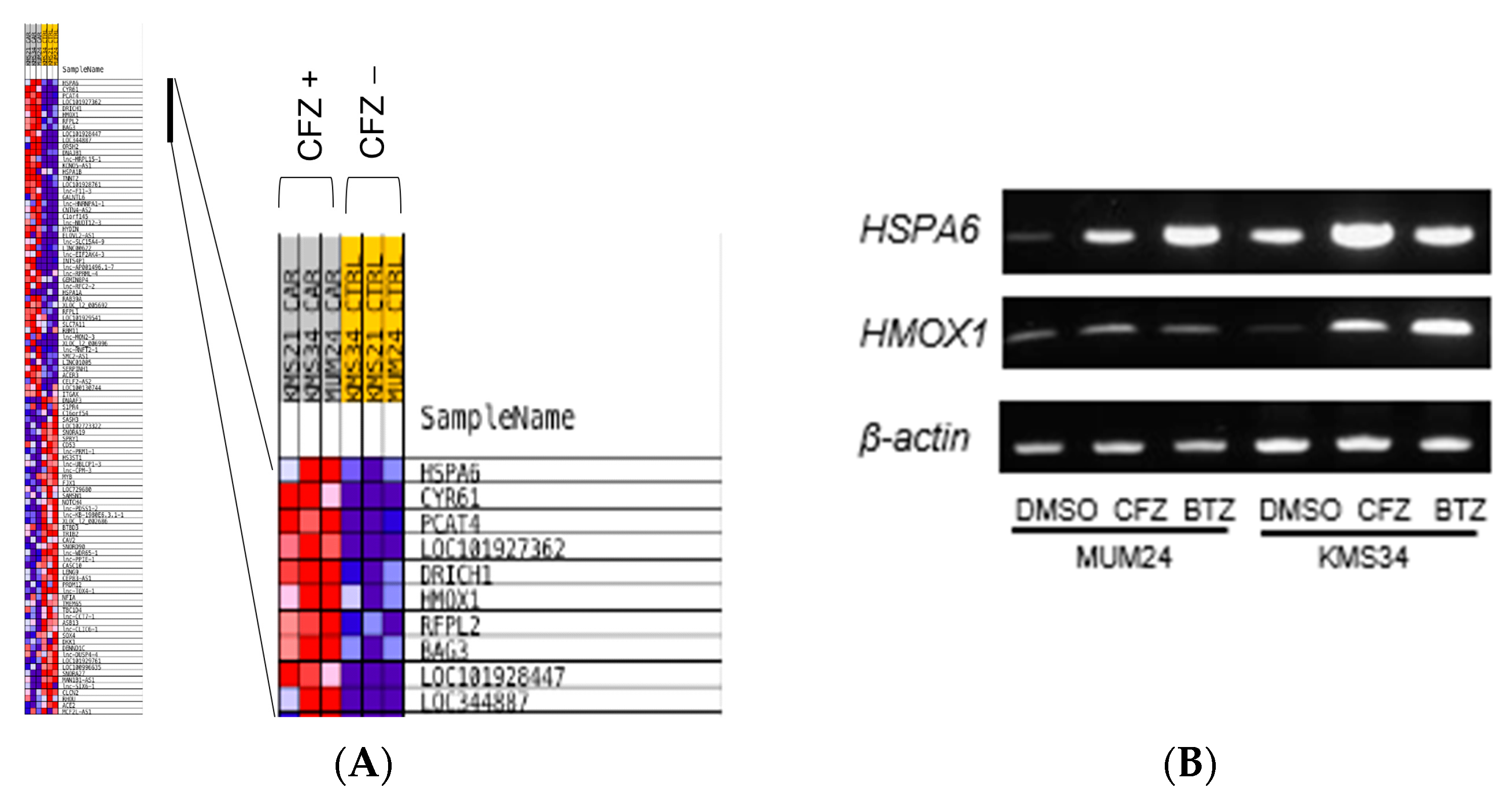 Pharmaceuticals 16 01367 g005