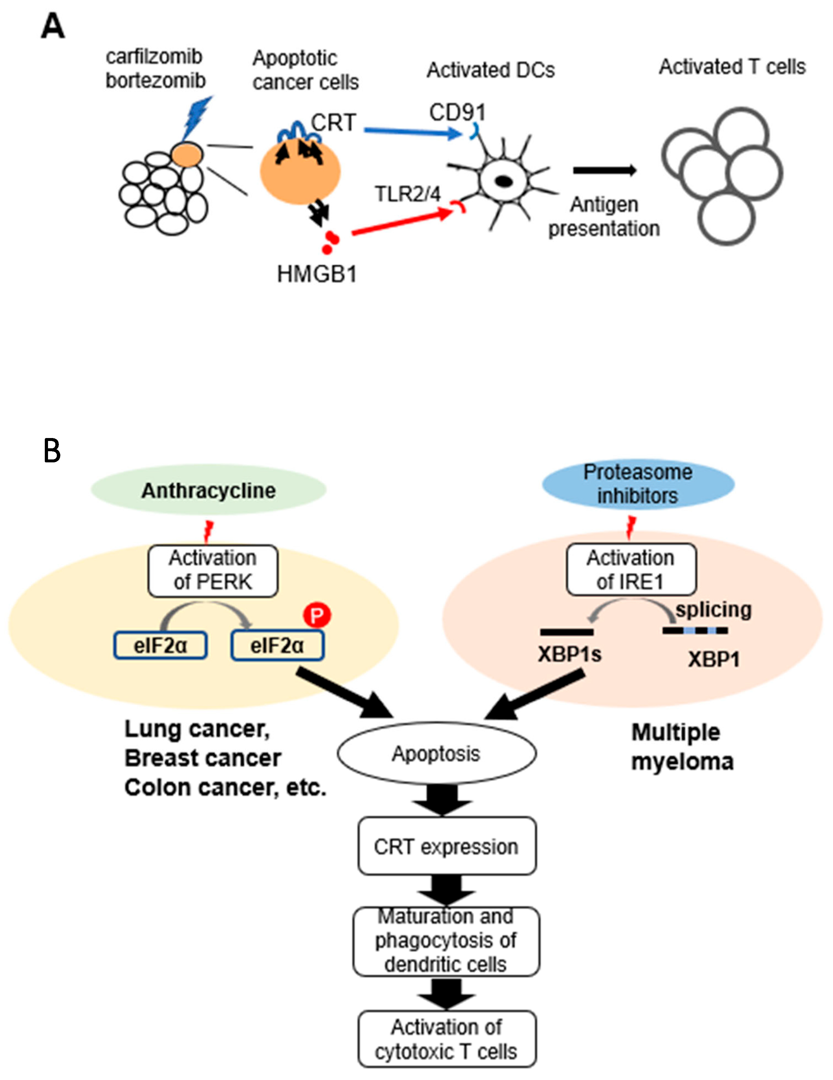 Pharmaceuticals 16 01367 g007