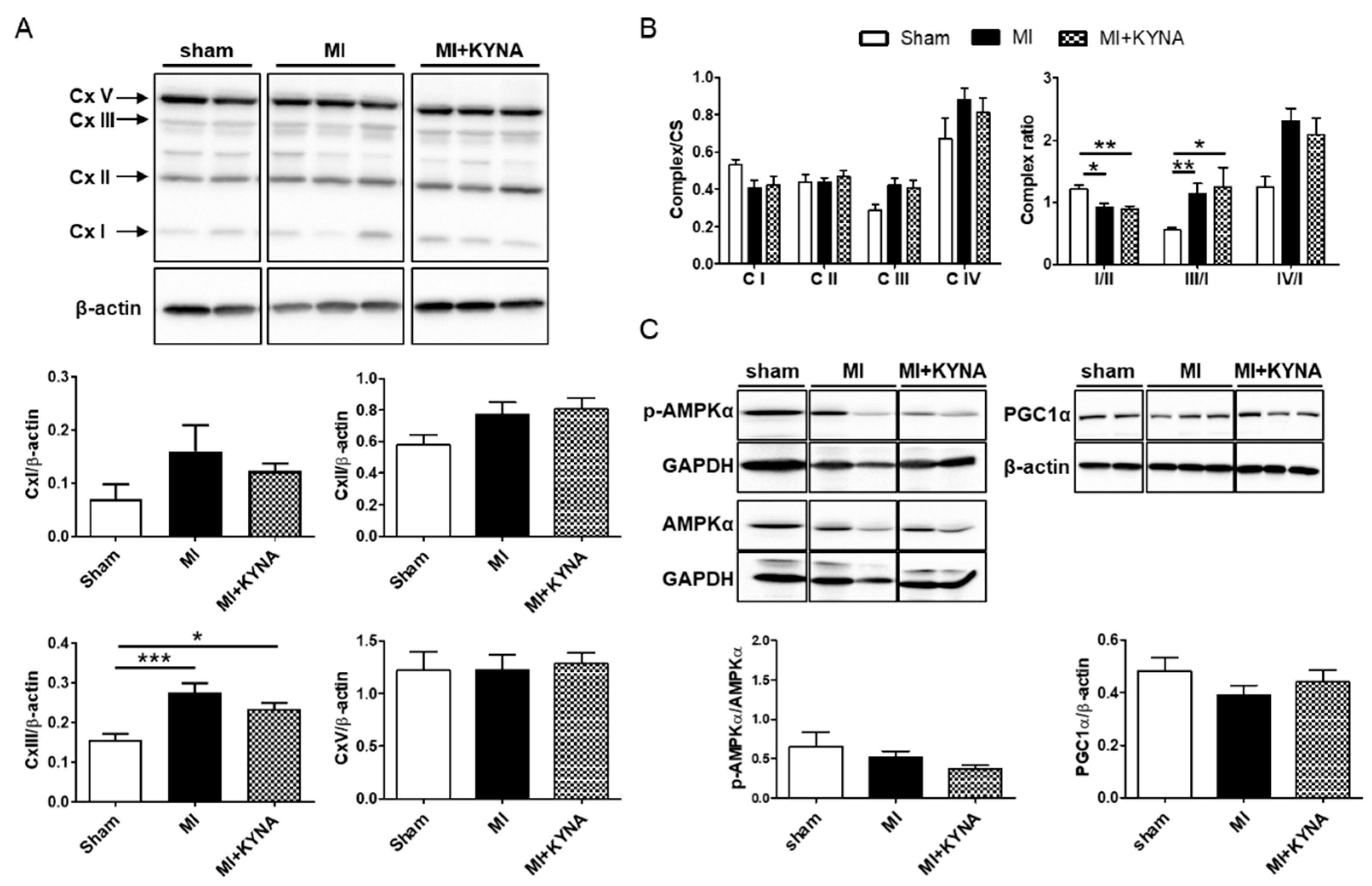 Pharmaceuticals 16 01381 g003