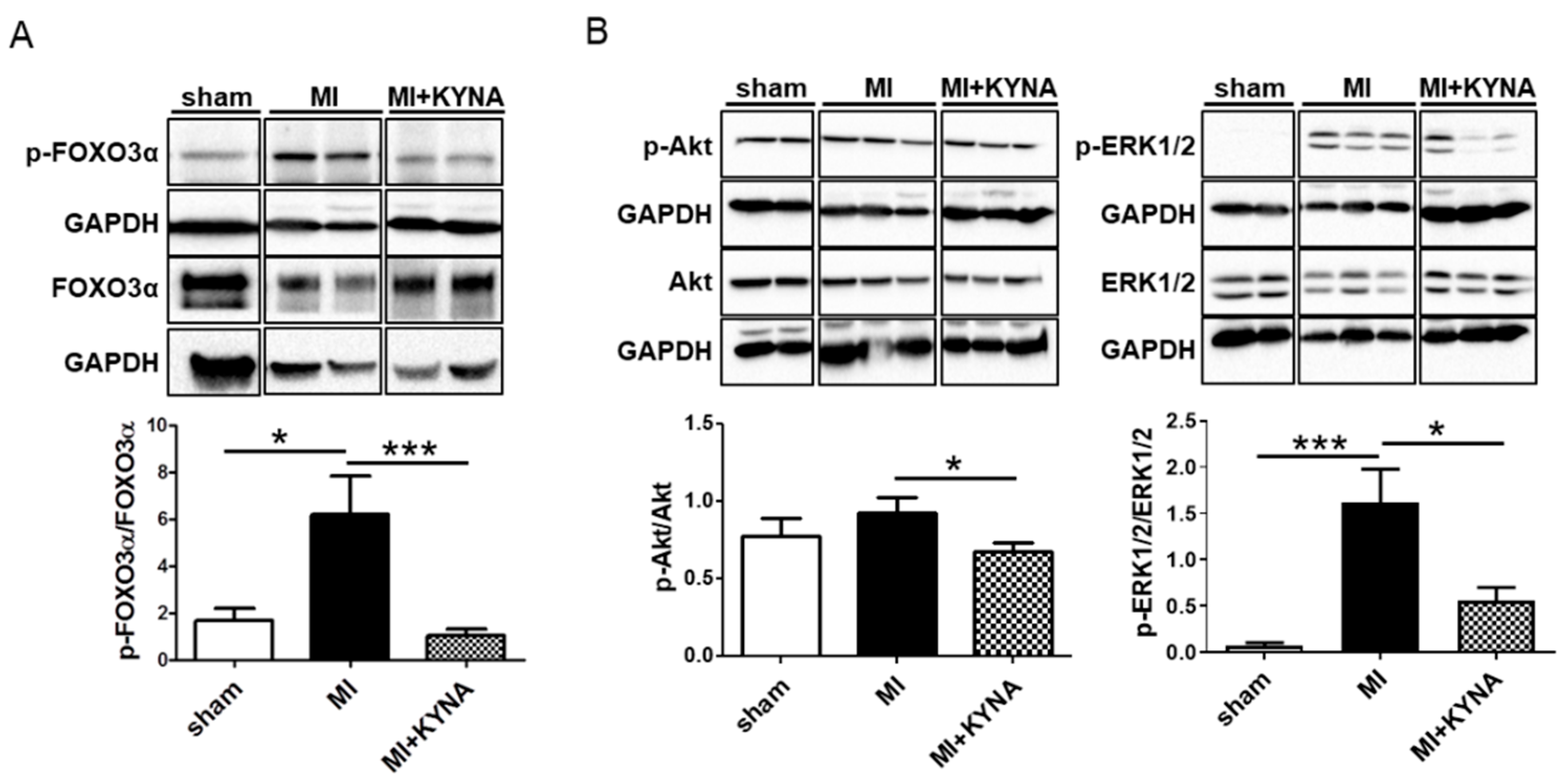 Pharmaceuticals 16 01381 g004