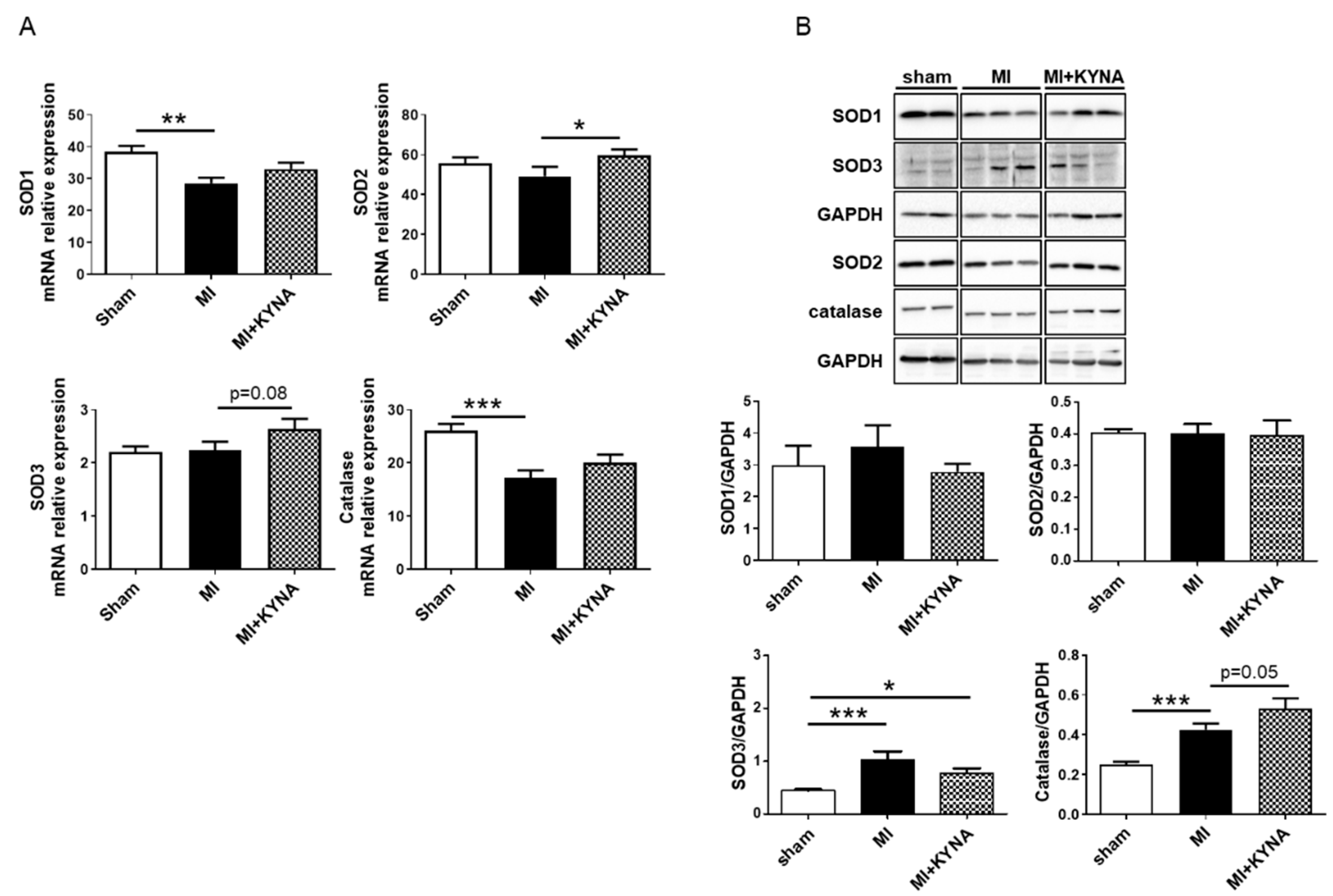 Pharmaceuticals 16 01381 g005