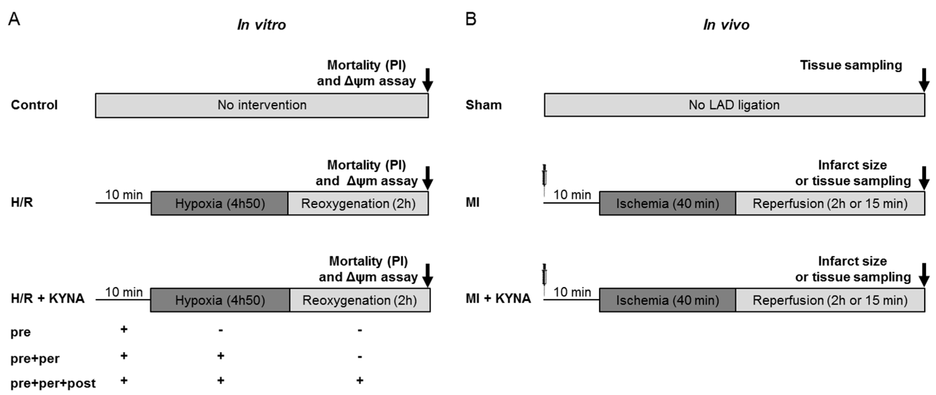 Pharmaceuticals 16 01381 g007