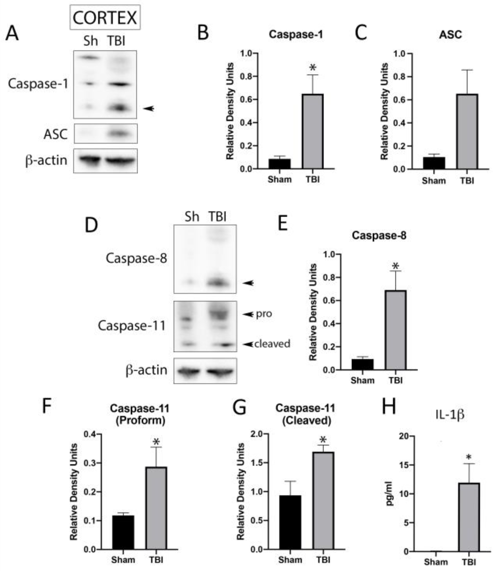 Pharmaceuticals 16 01382 g001